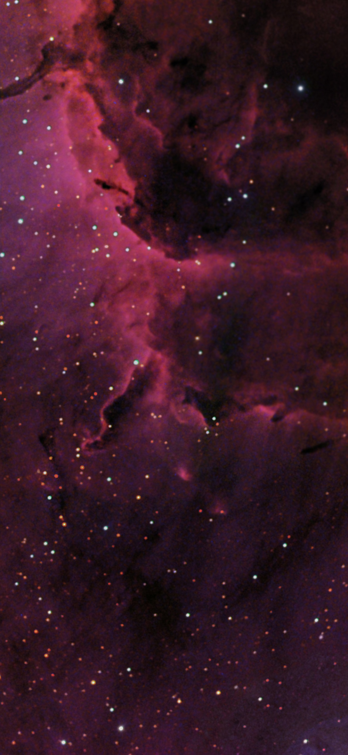 Sci Fi Nebula, Space, Purple, Stars, 1170x2532, Phone HD Wallpaper