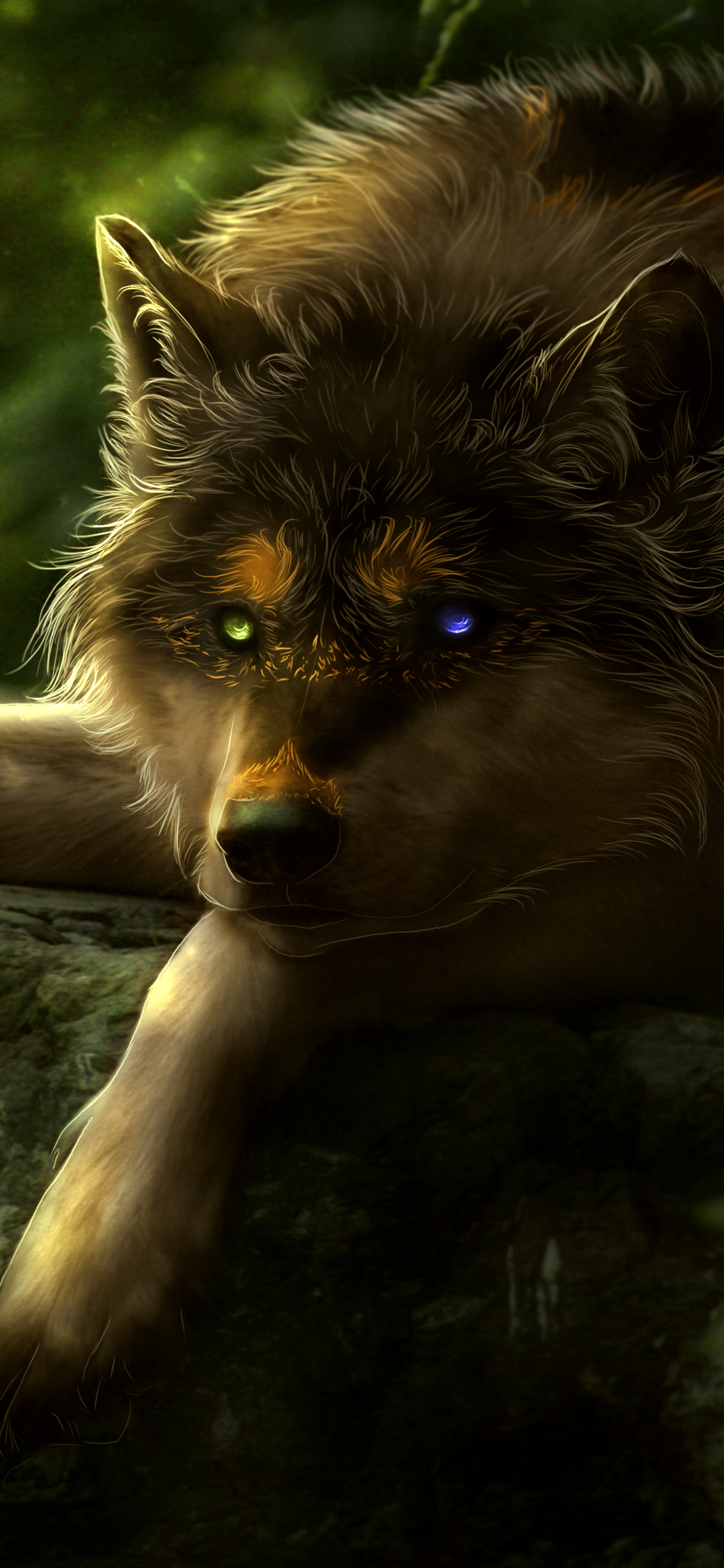 Animal Wolf, Heterochromia, 1170x2532, Phone HD Wallpaper