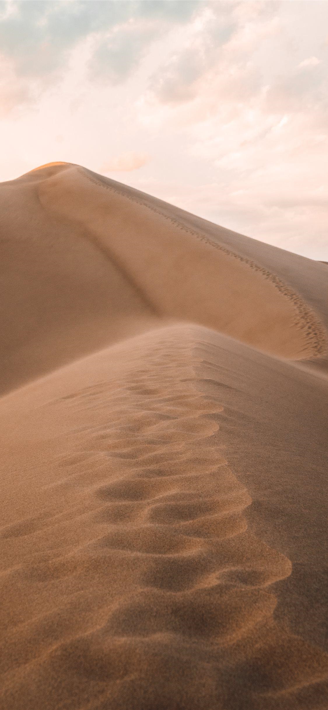 Movie Dune (2021), 1125x2436, Phone HD Wallpaper