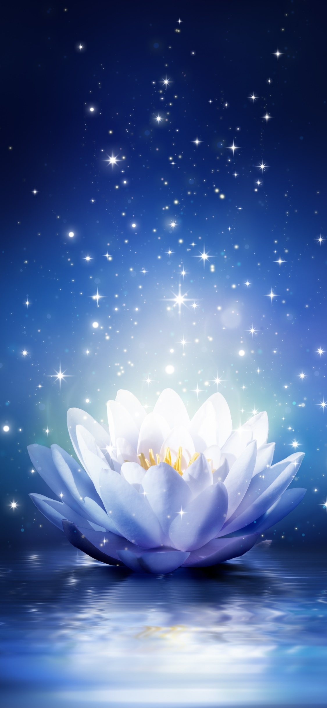Artistic Flower, Water, Water Lily, 1125x2436, Phone HD Wallpaper