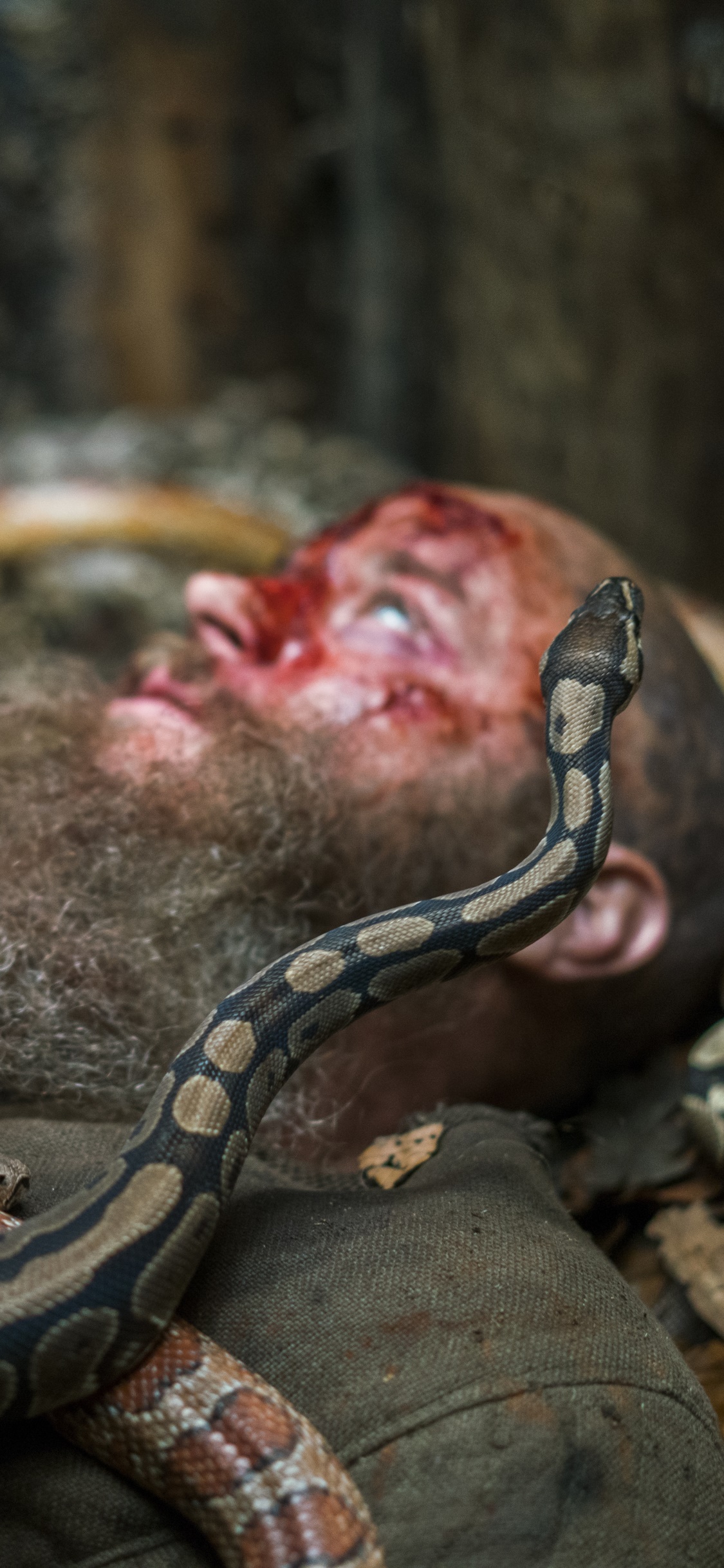TV Show Vikings, Snake, 1125x2436, Phone HD Wallpaper