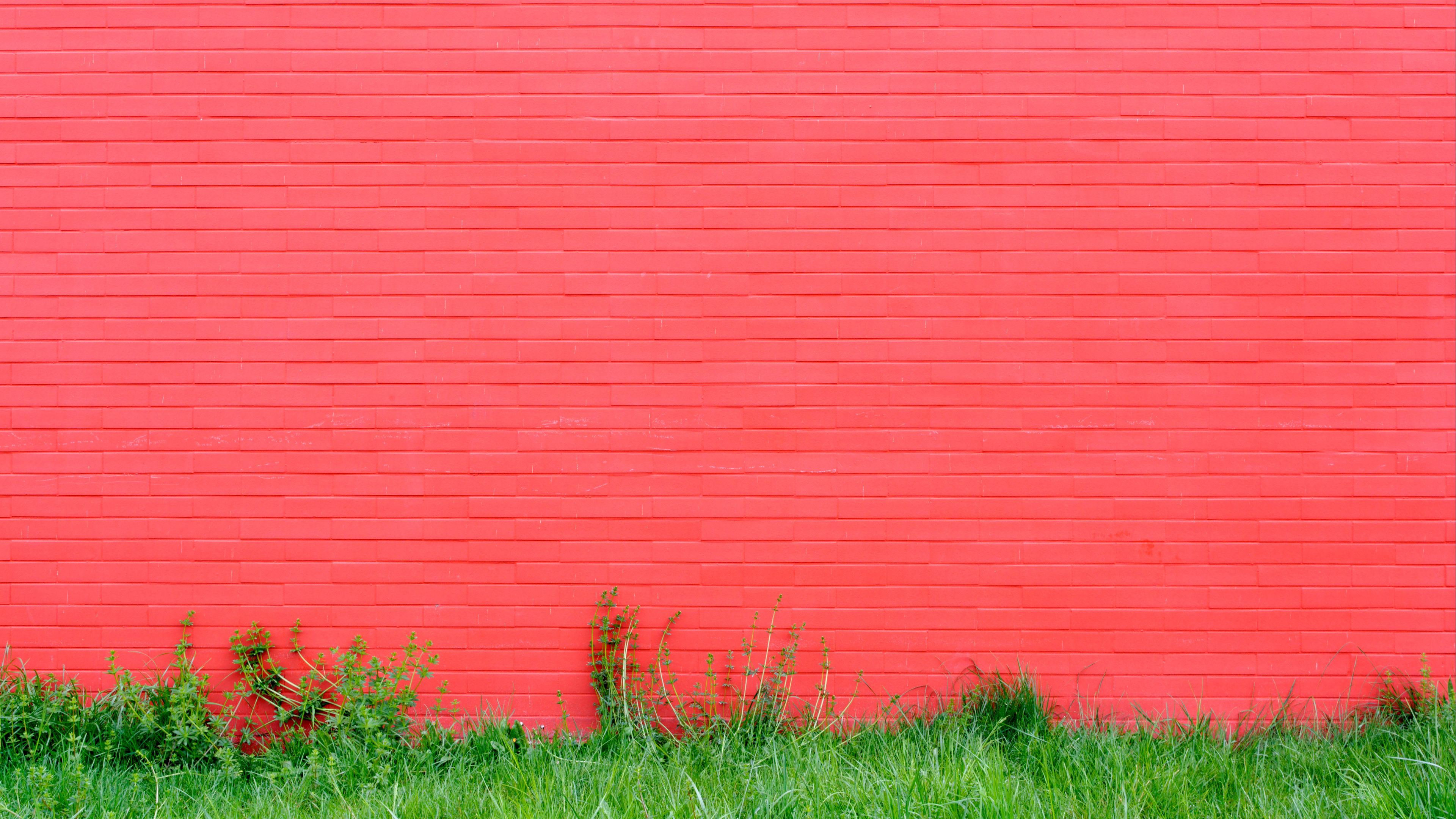 wall, grass, pink, bricks, 4k, HD Wallpaper