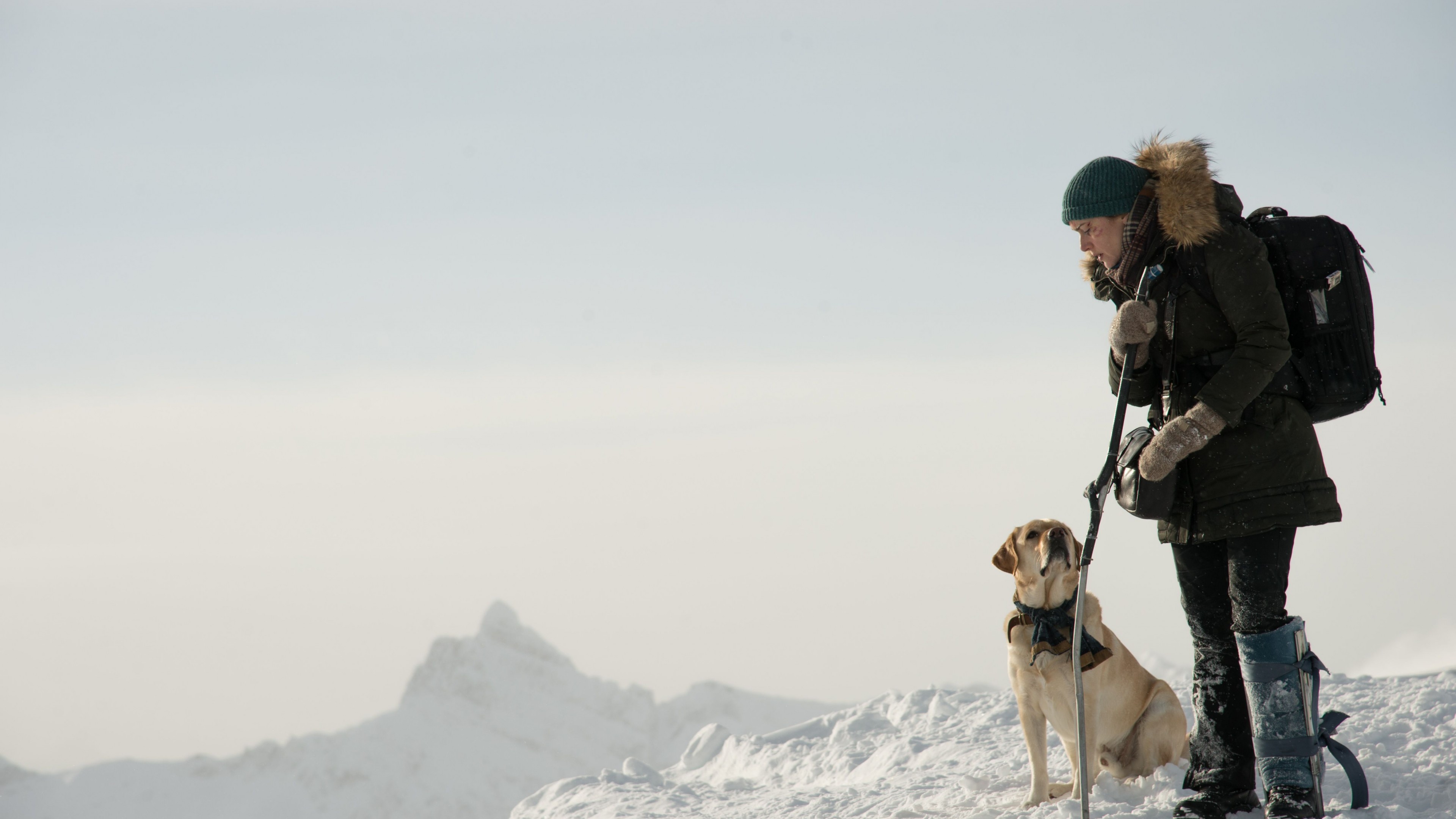 The Mountain Between Us, Kate Winslet, 4K, HD Wallpaper