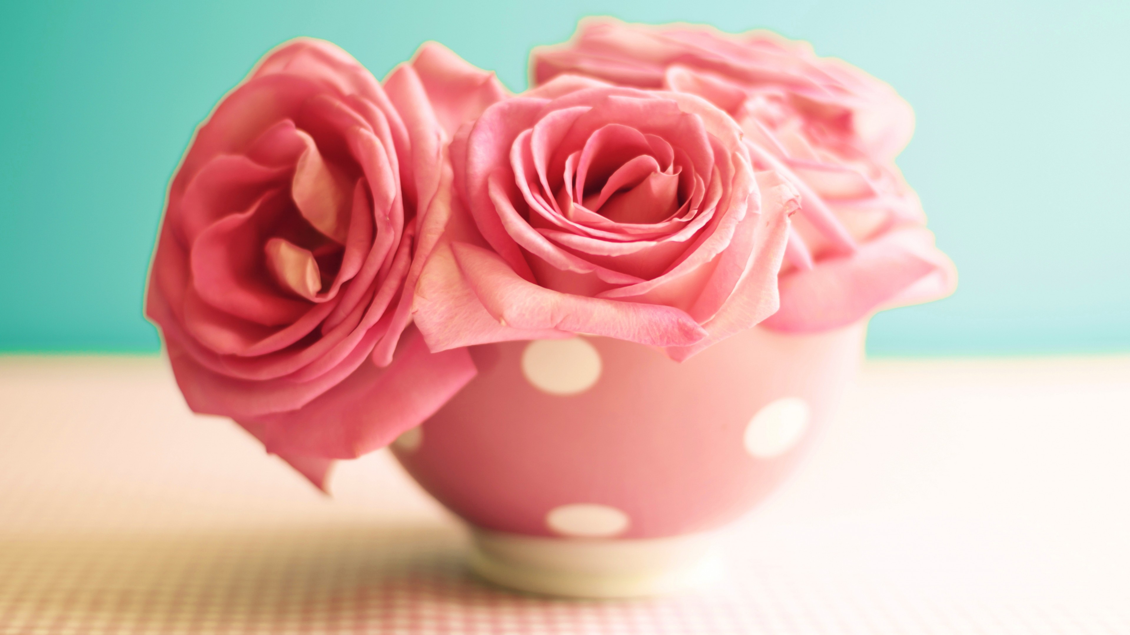 Roses, 4k, flowers, pink, mug, HD Wallpaper