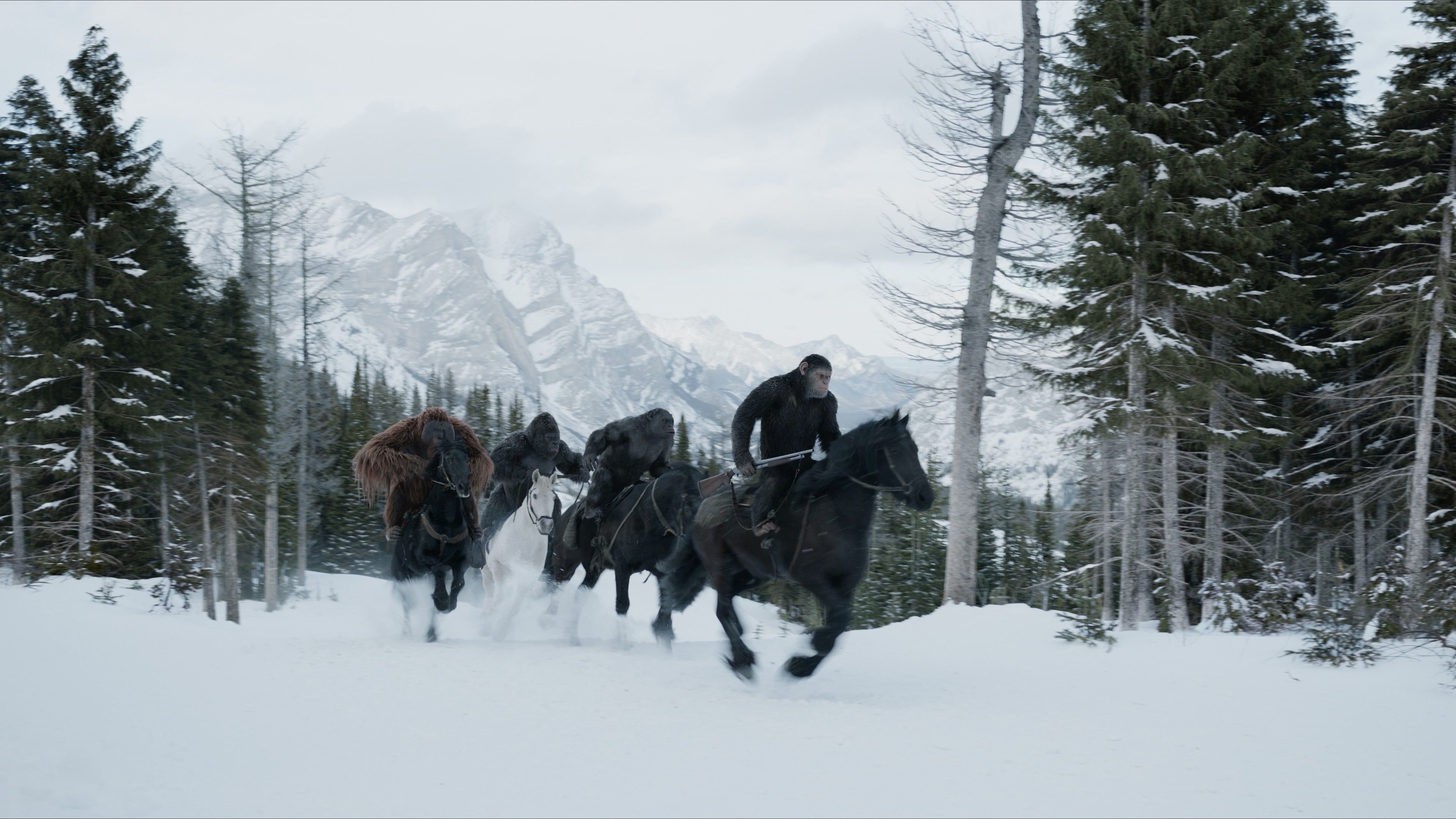 War for the Planet of the Apes, 4K, HD Wallpaper
