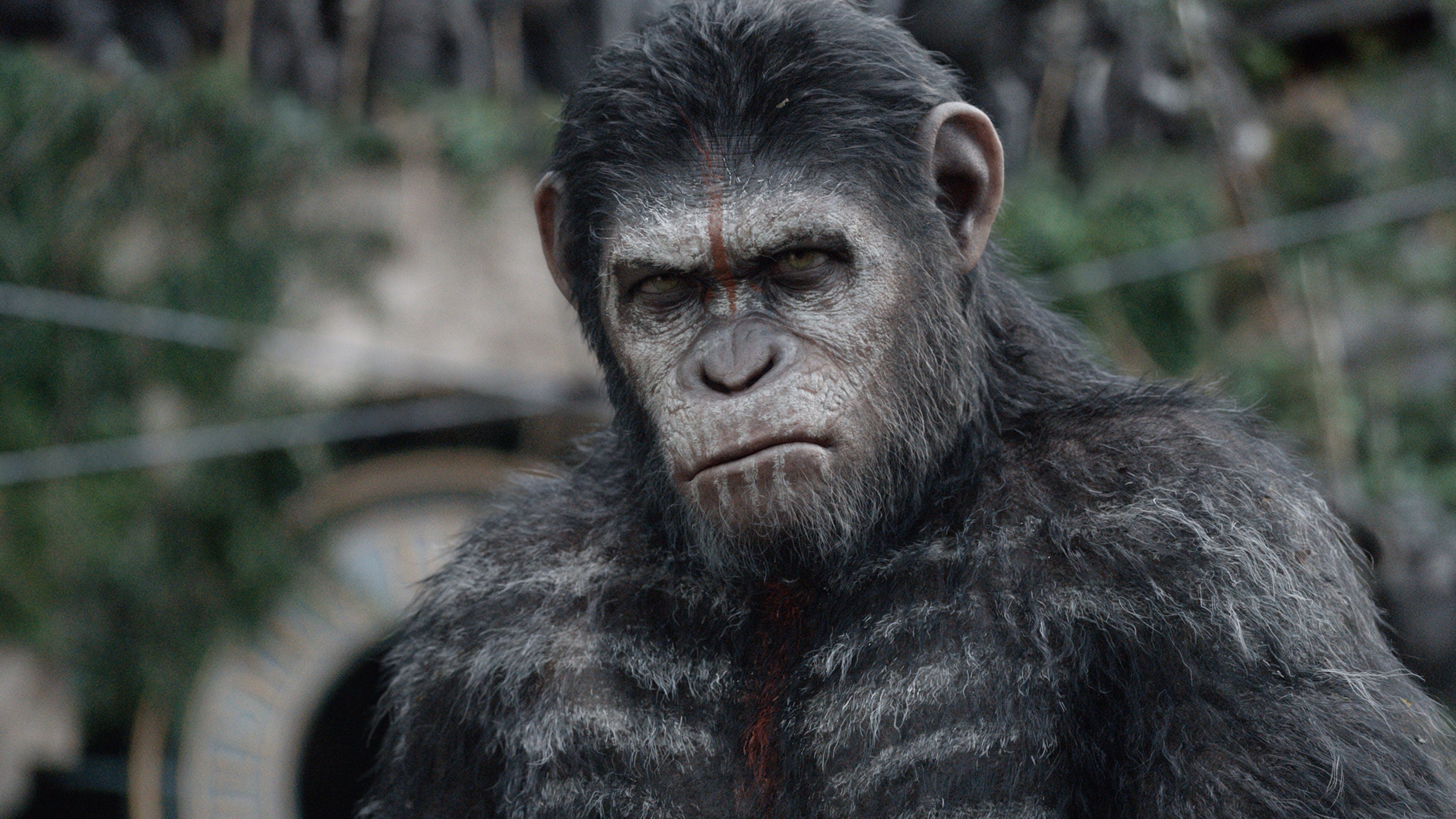 War for the Planet of the Apes, 4k, 4K, HD Wallpaper