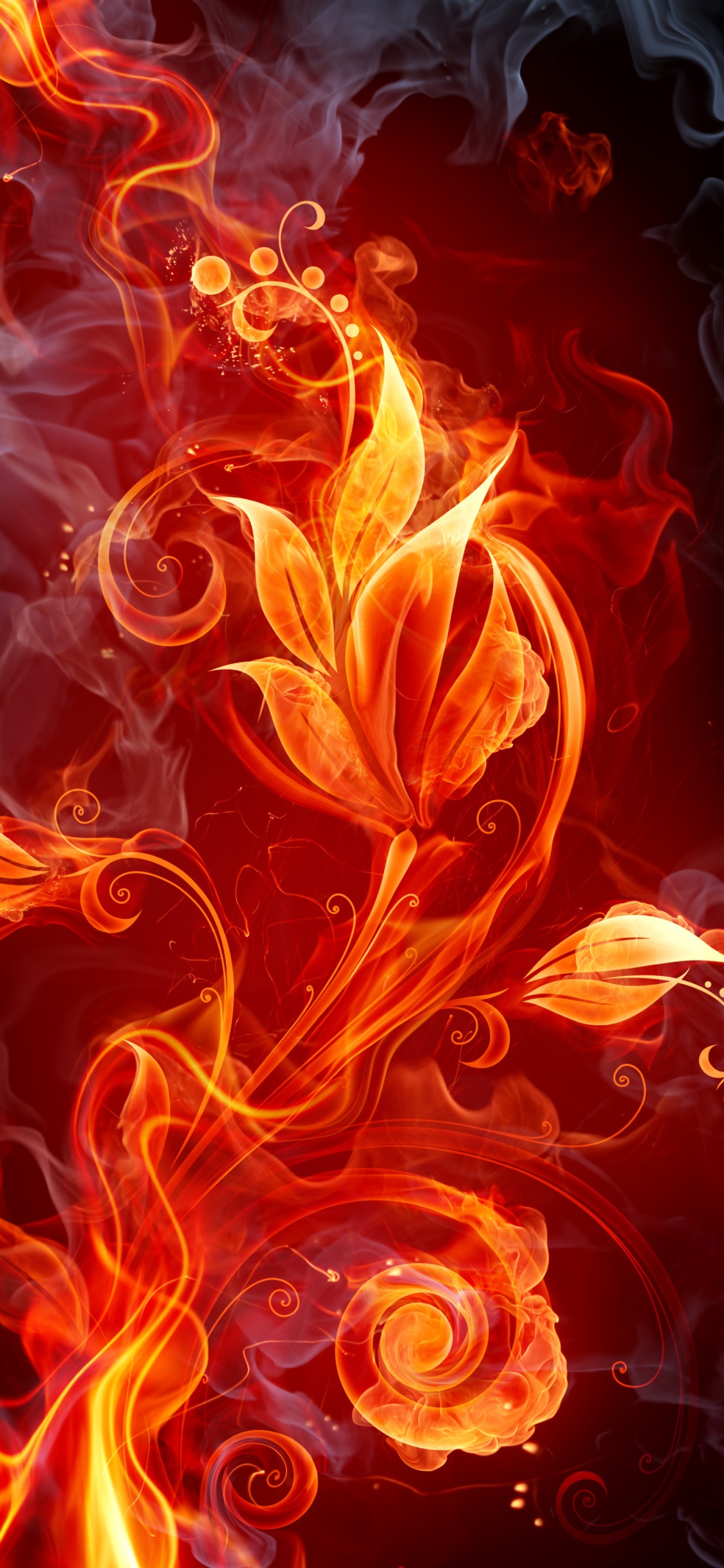 Artistic Flower, 1125x2436, Phone HD Wallpaper