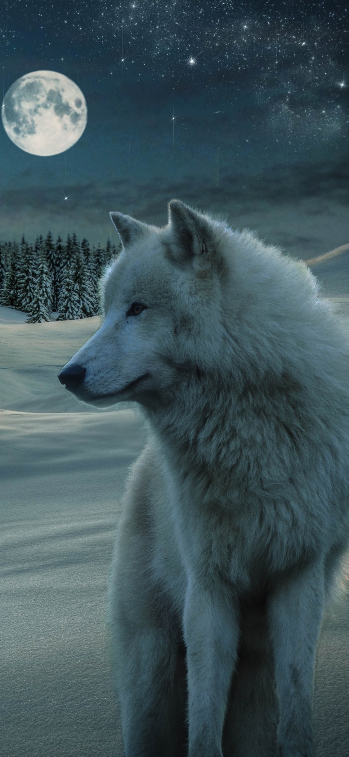 Animal Wolf, Starry Sky, Stars, Night, Snow, Moon, 1125x2436, Phone HD Wallpaper