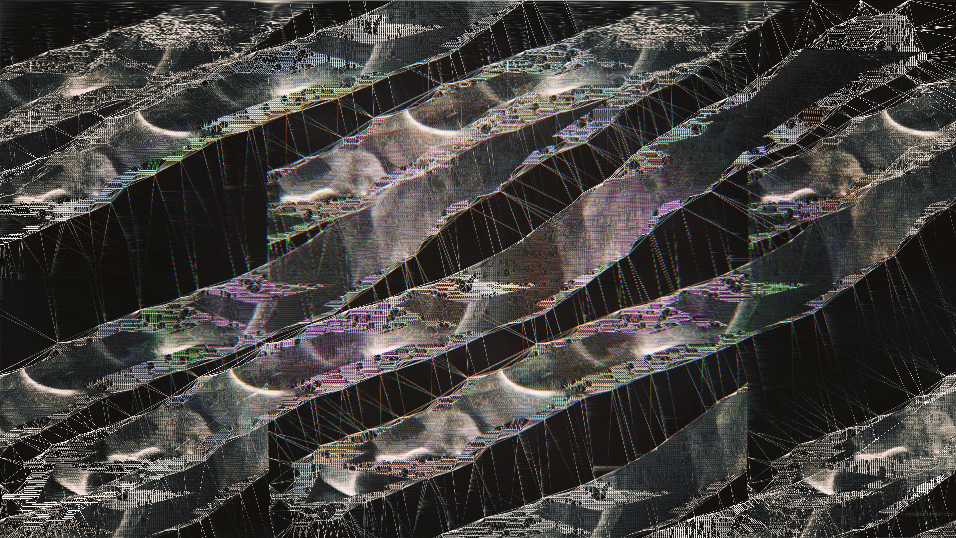4k, abstract, microbes, HD Wallpaper