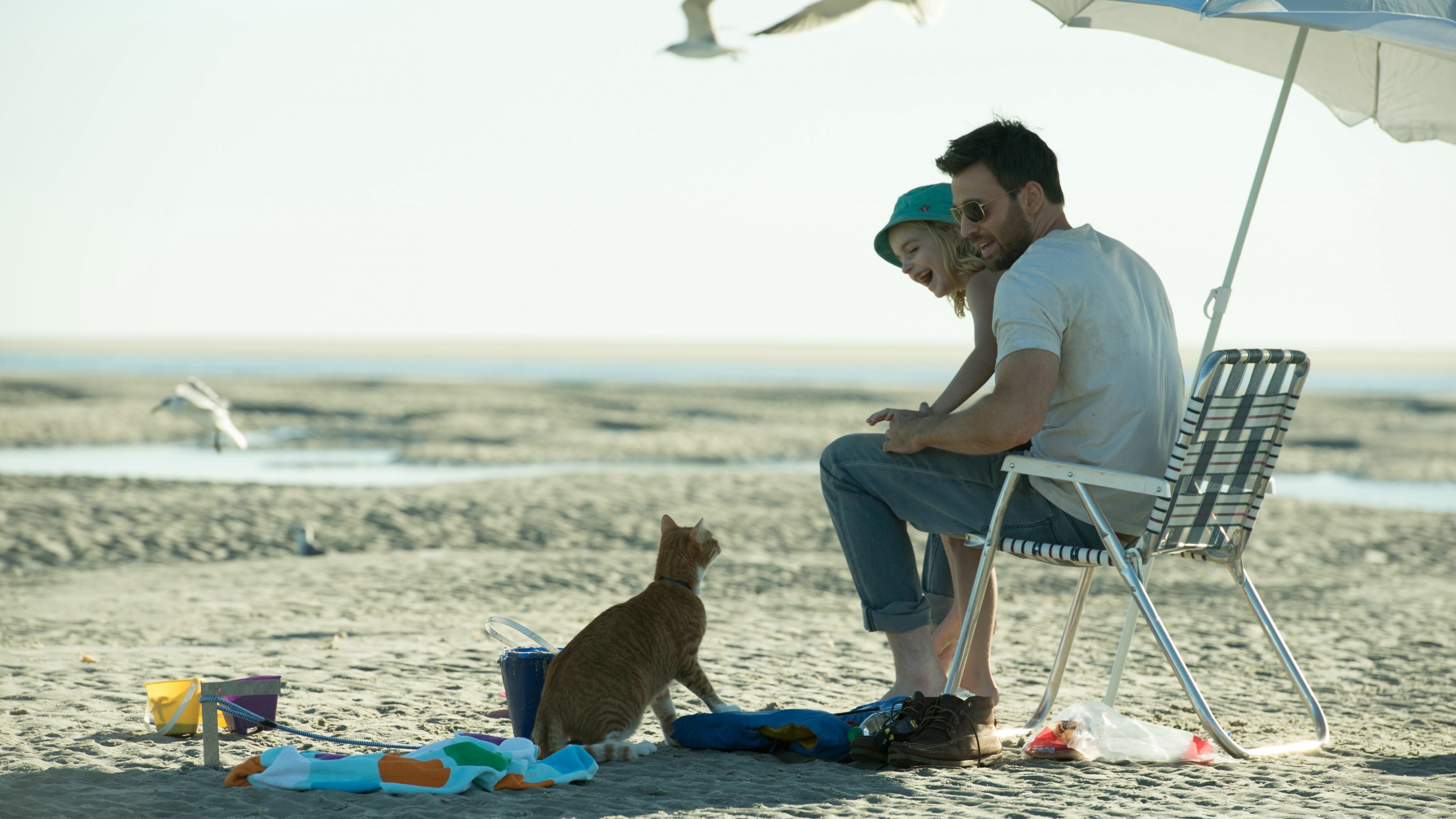 Gifted, Mckenna Grace, Chris Evans, best movies, HD Wallpaper