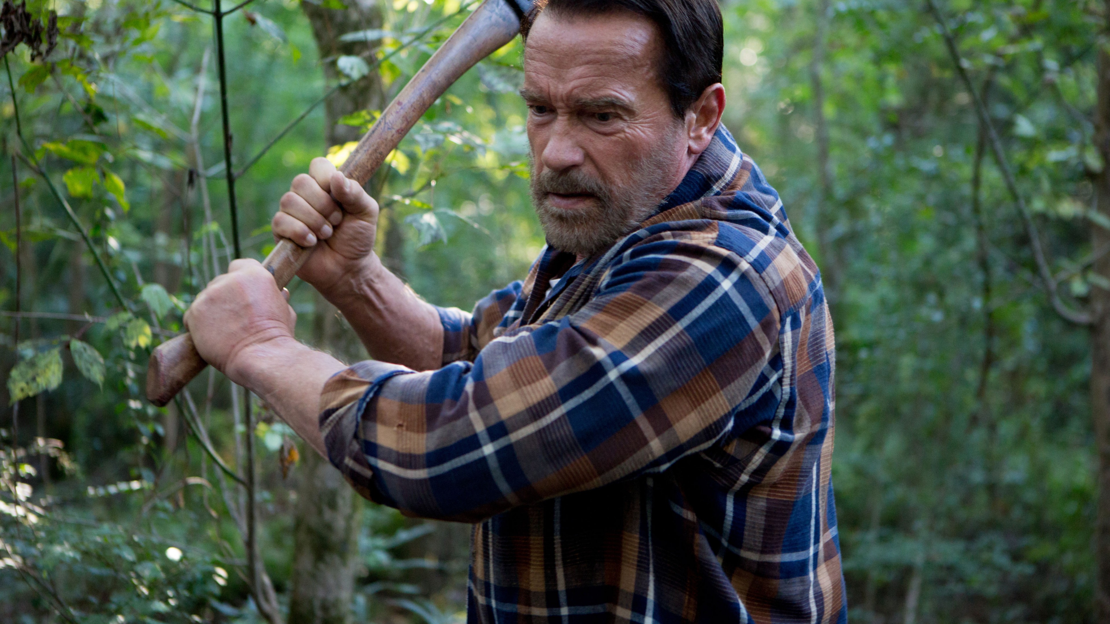Aftermath, Arnold Schwarzenegger, best movies, HD Wallpaper