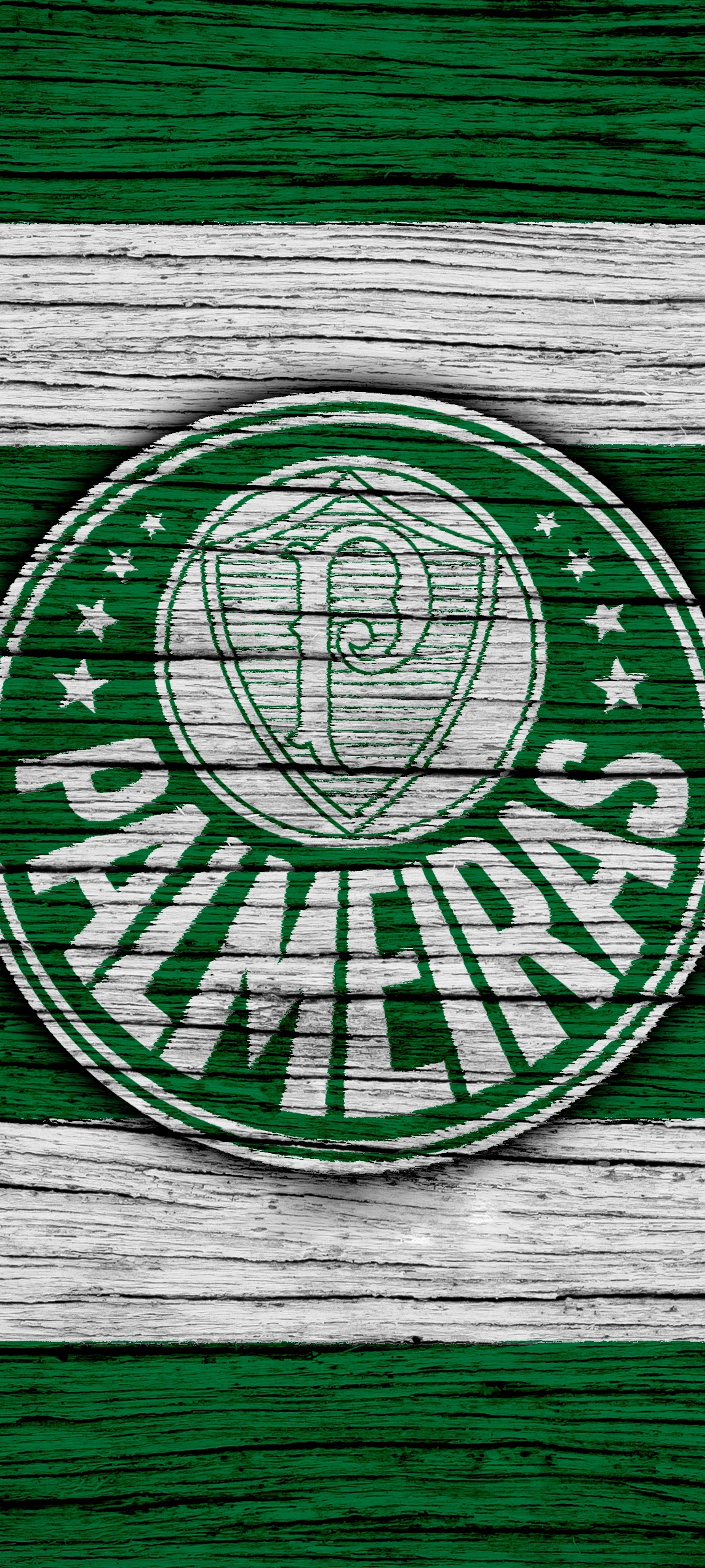 Sports Sociedade Esportiva Palmeiras, Soccer, Logo, 1080x2400, Phone HD Wallpaper