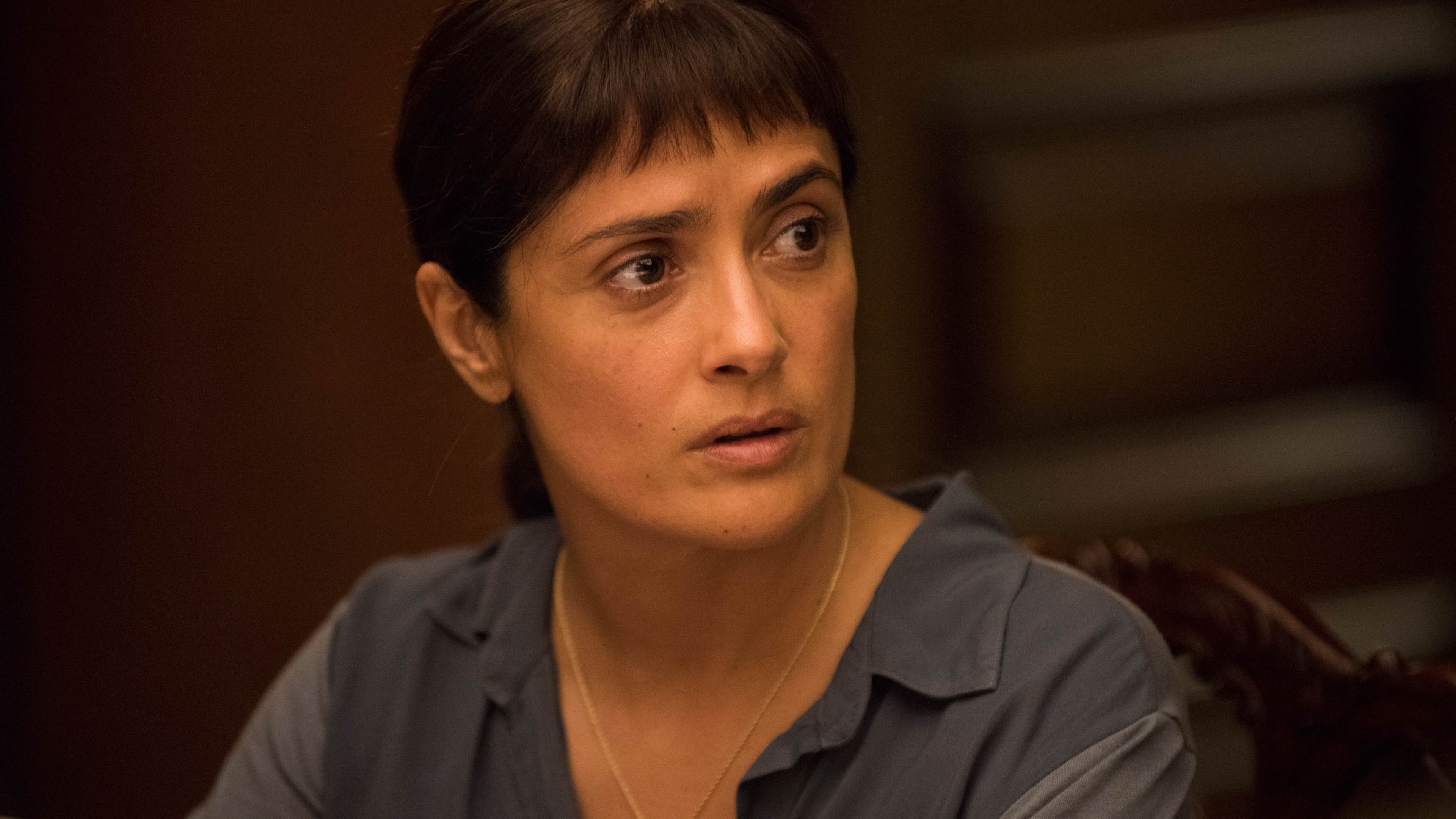 Beatriz at Dinner, Salma Hayek, best movies, Sundance 2017, HD Wallpaper