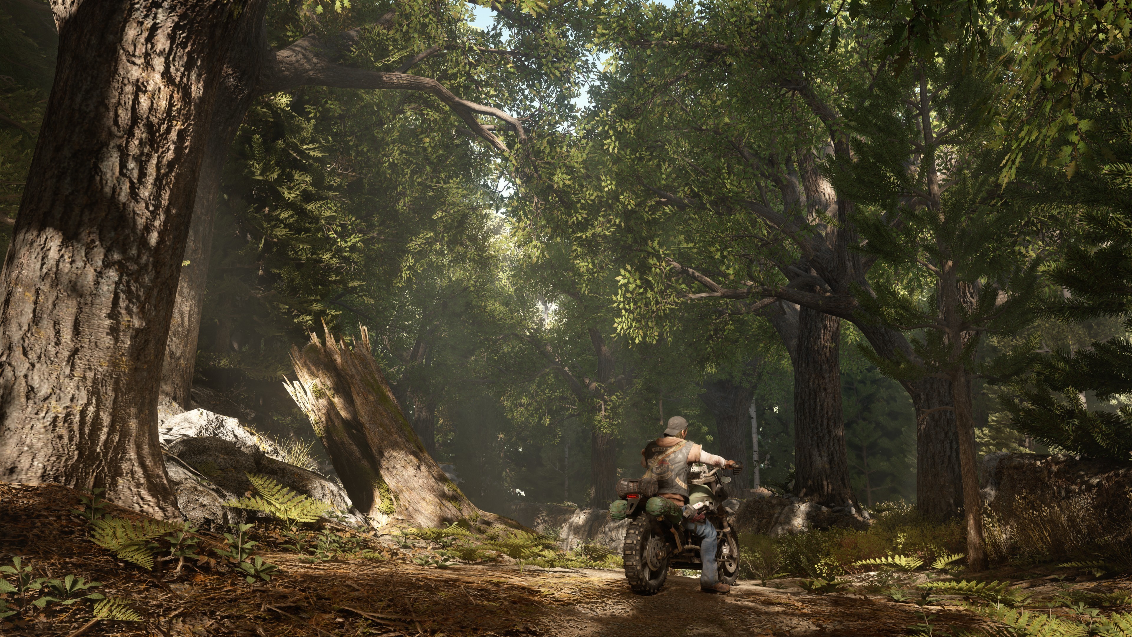 Days Gone, survival horror, bike, PS 4, best games, HD Wallpaper