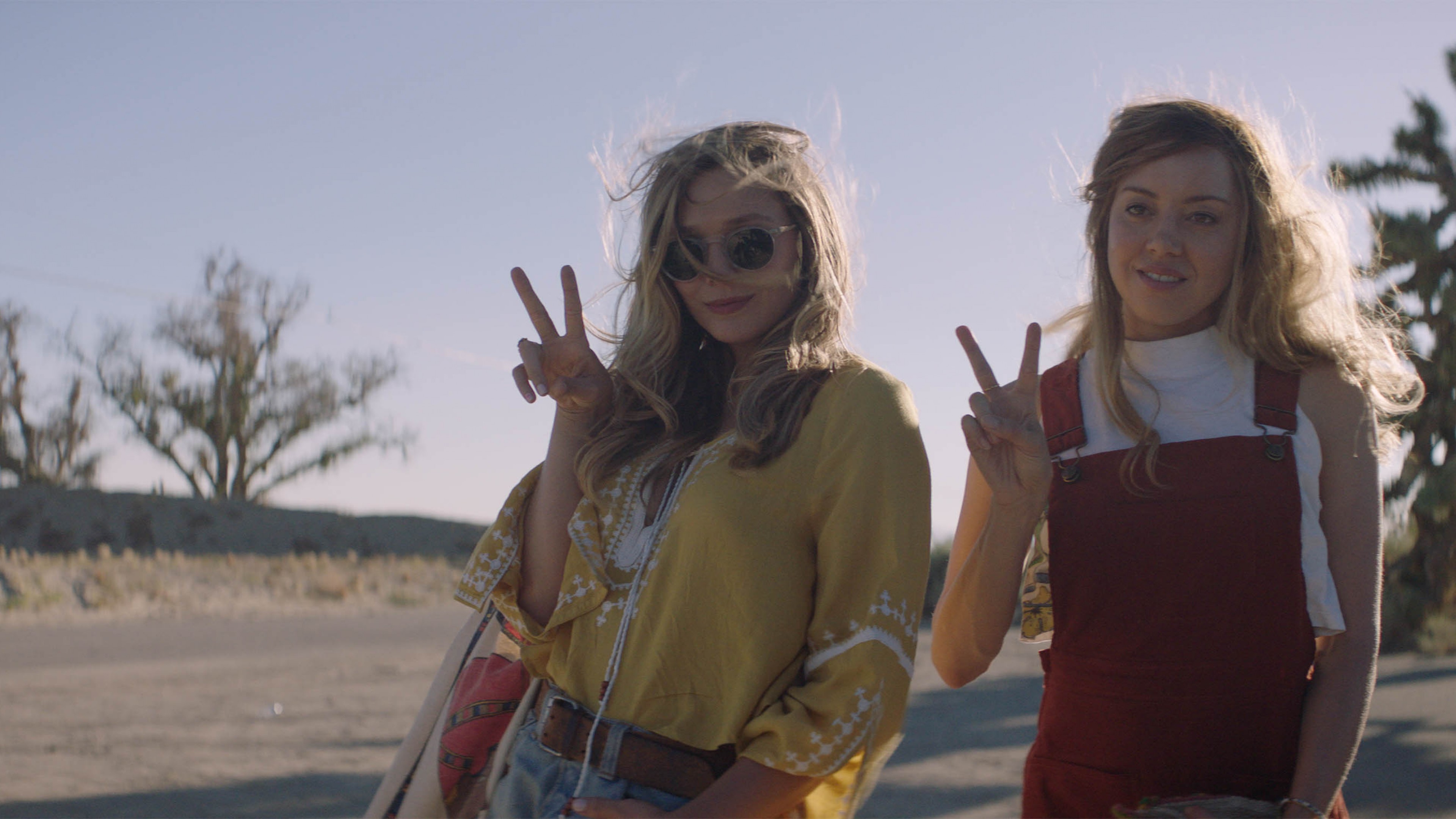 Ingrid Goes West, Elizabeth Olsen, Aubrey Plaza, best movies, Sundance 2017, HD Wallpaper