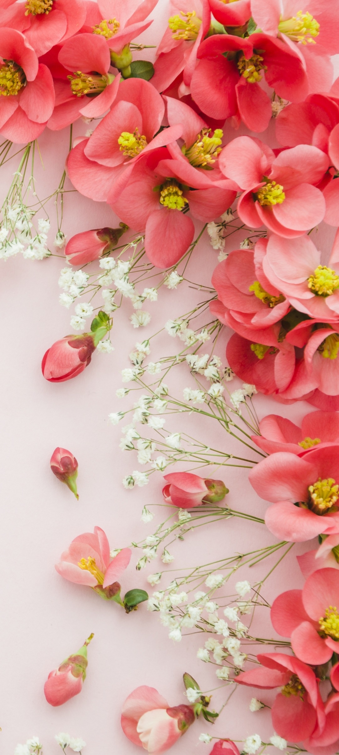 Man Made Flower, Pink Flower, 1080x2400, Phone HD Wallpaper