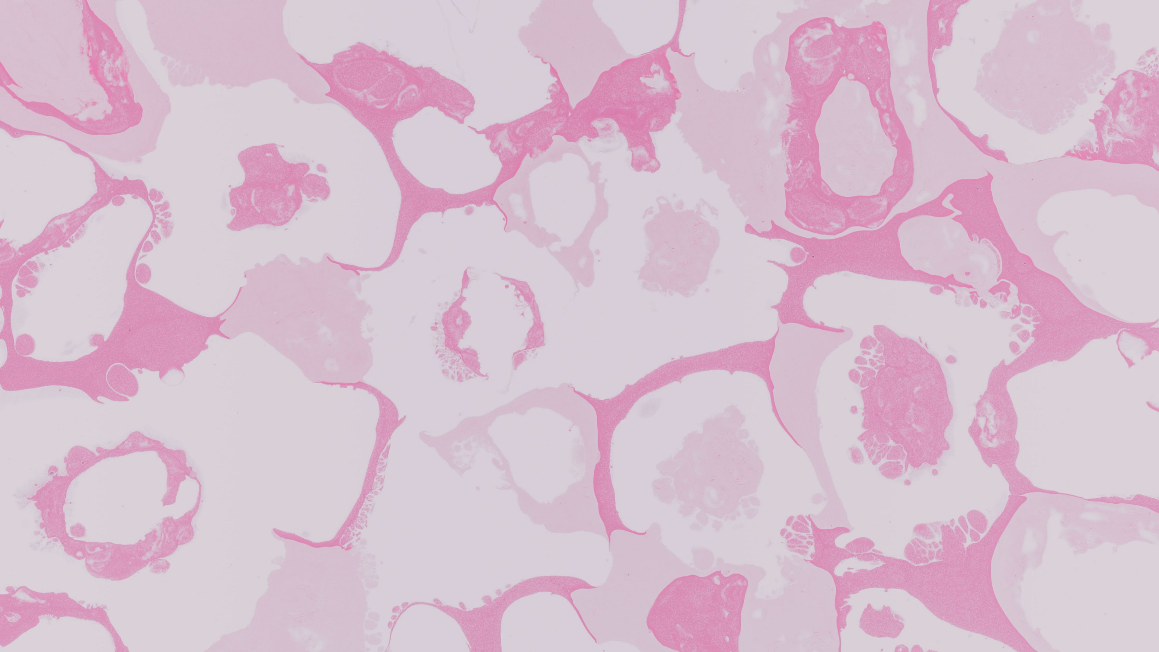 spots, circles, stains, abstraction, 4k, HD Wallpaper