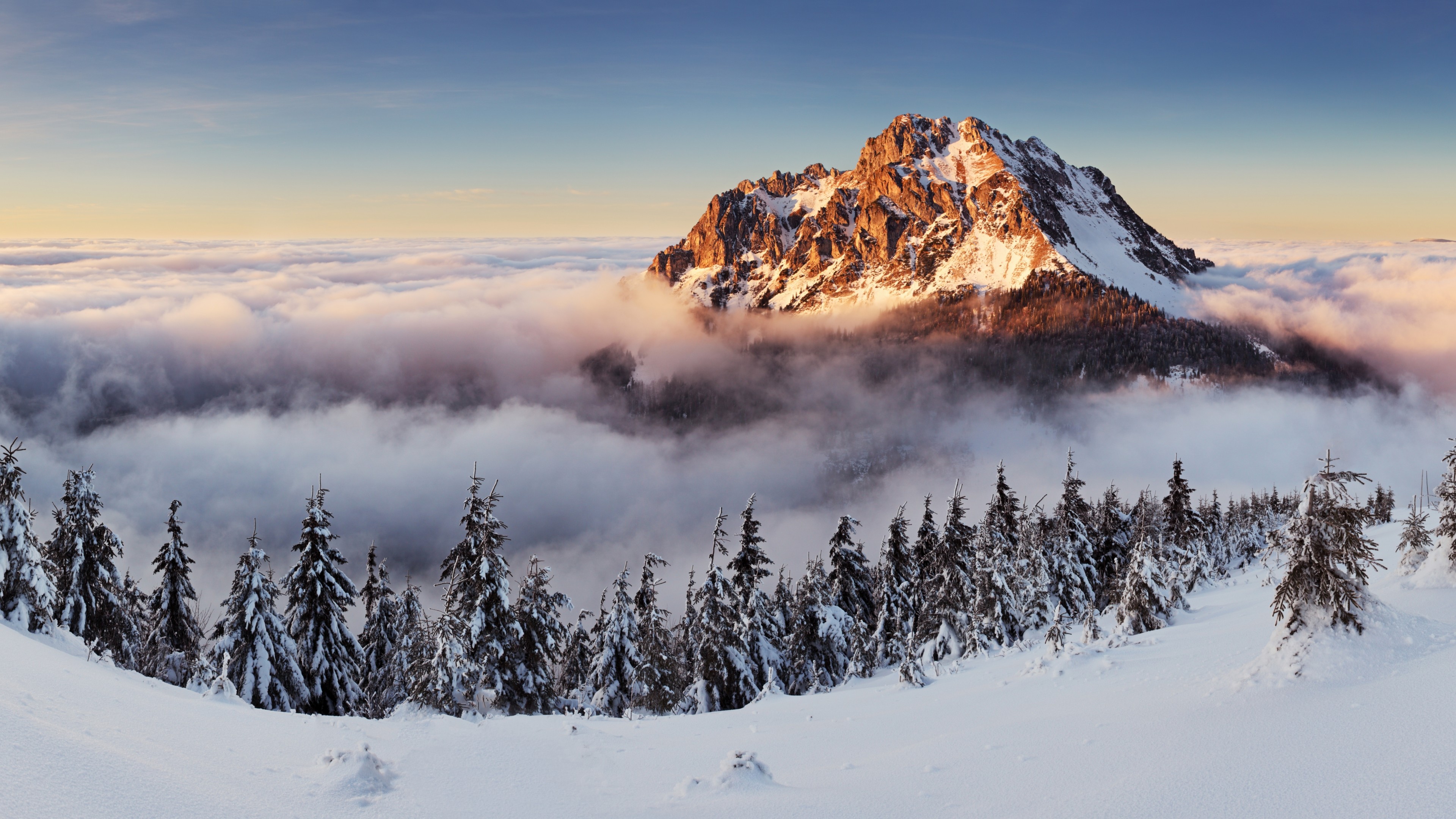 Slovakia, 4k, mountains, fog, pines, snow, HD Wallpaper