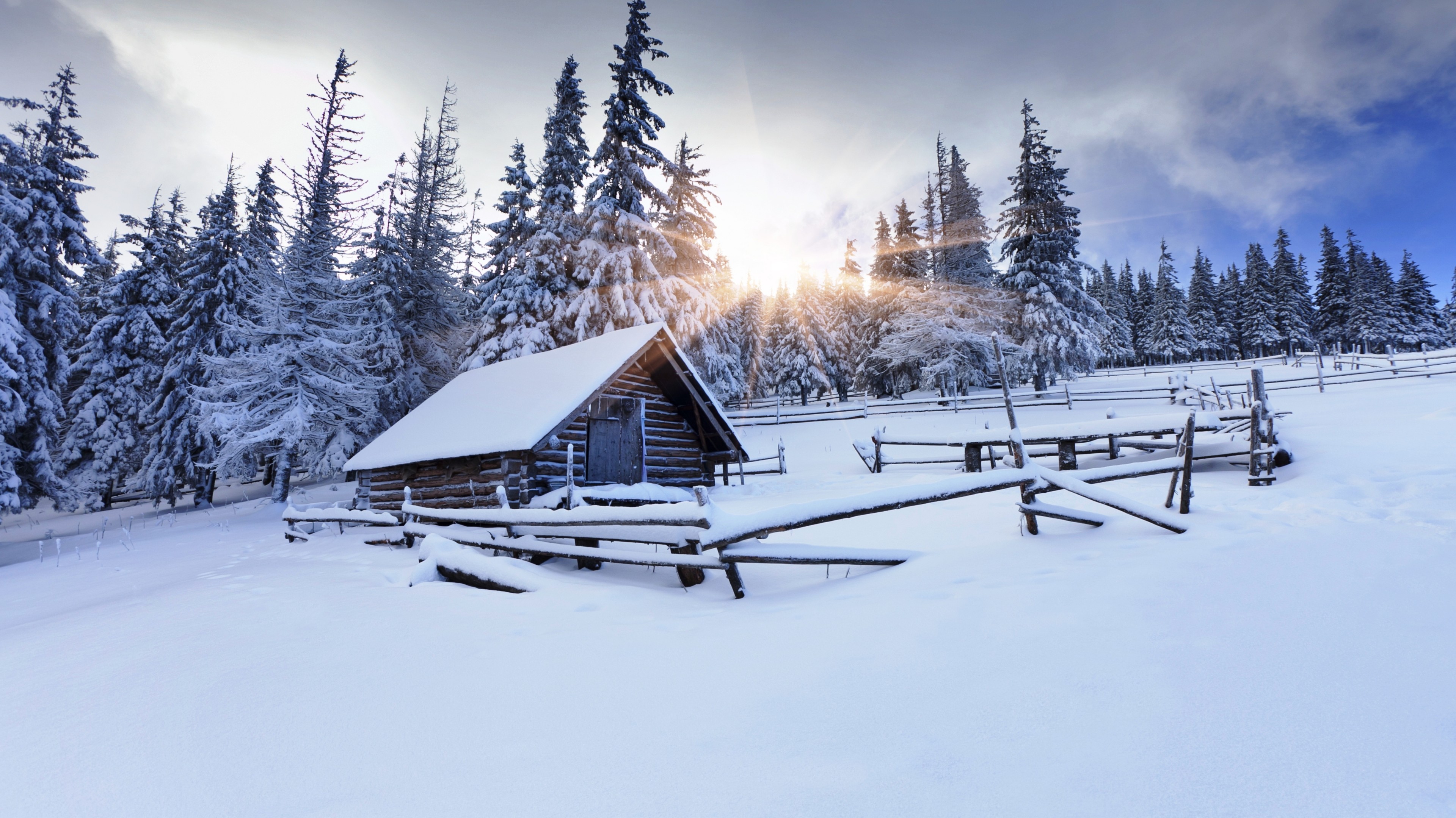 winter forest, 4k, mountain, sun, snow, fir-trees, village, house,, HD Wallpaper