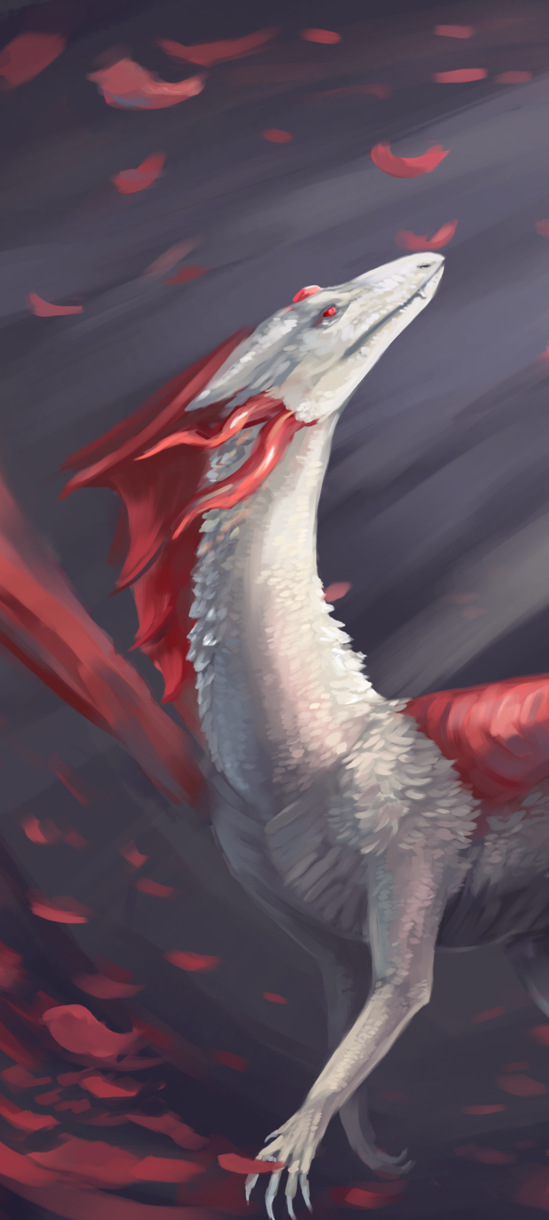 Fantasy Dragon, 1080x2400, Phone HD Wallpaper