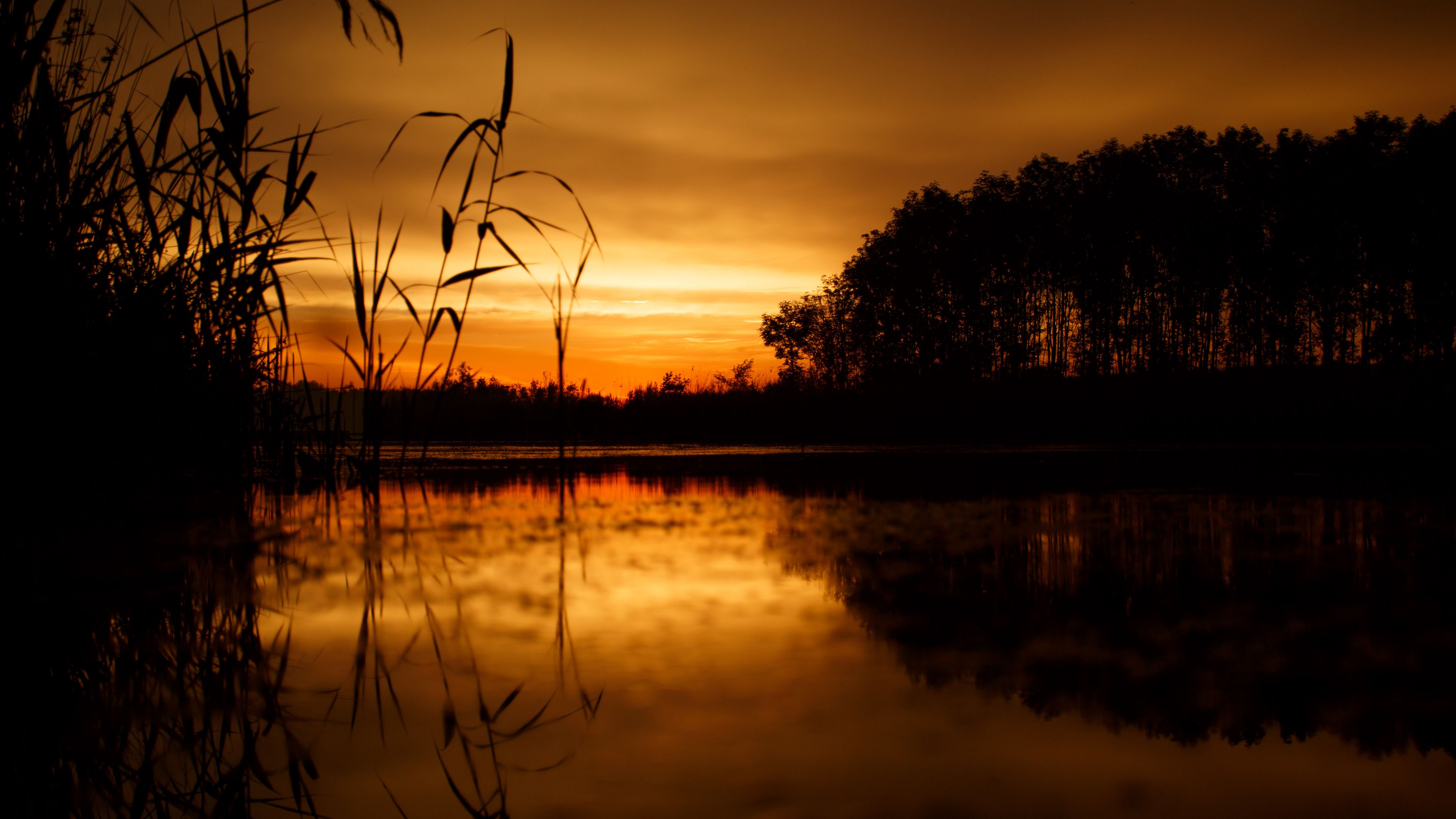 sunset, horizon, grass, sky, 4k, HD Wallpaper