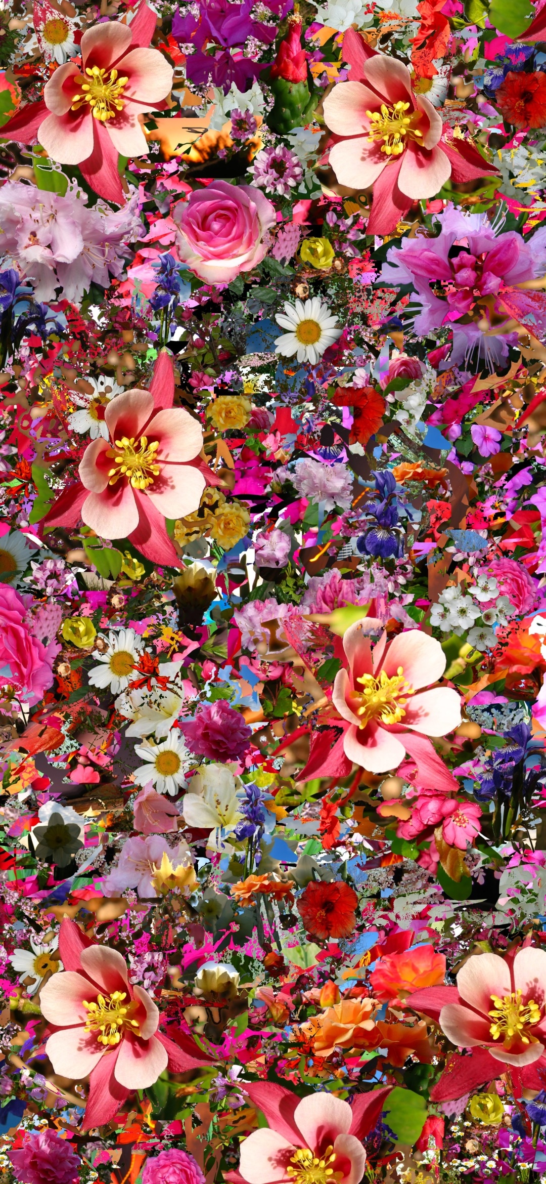 Artistic Flower, Colorful, Colors, 1080x2340, Phone HD Wallpaper