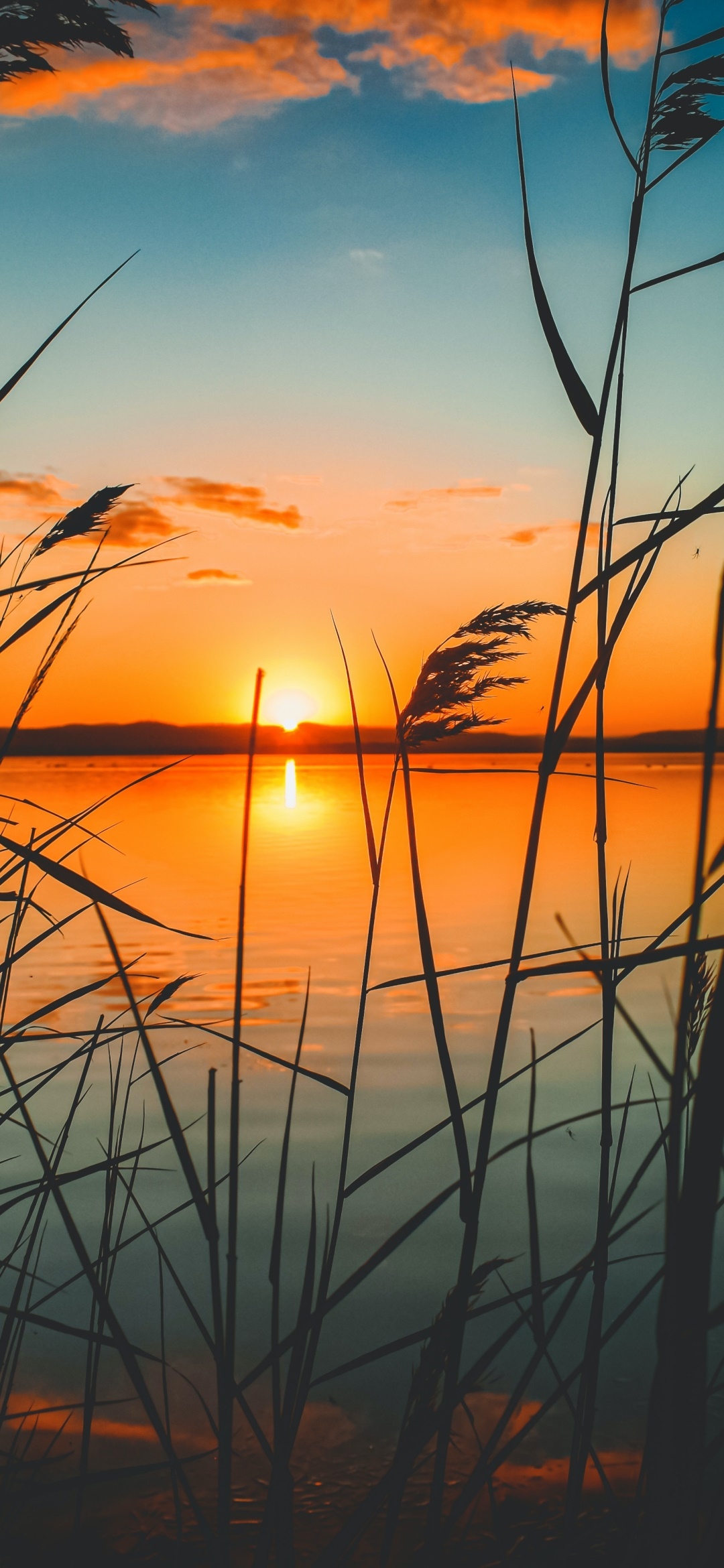 Earth Sunset, Nature, Lake, 1080x2340, Phone HD Wallpaper