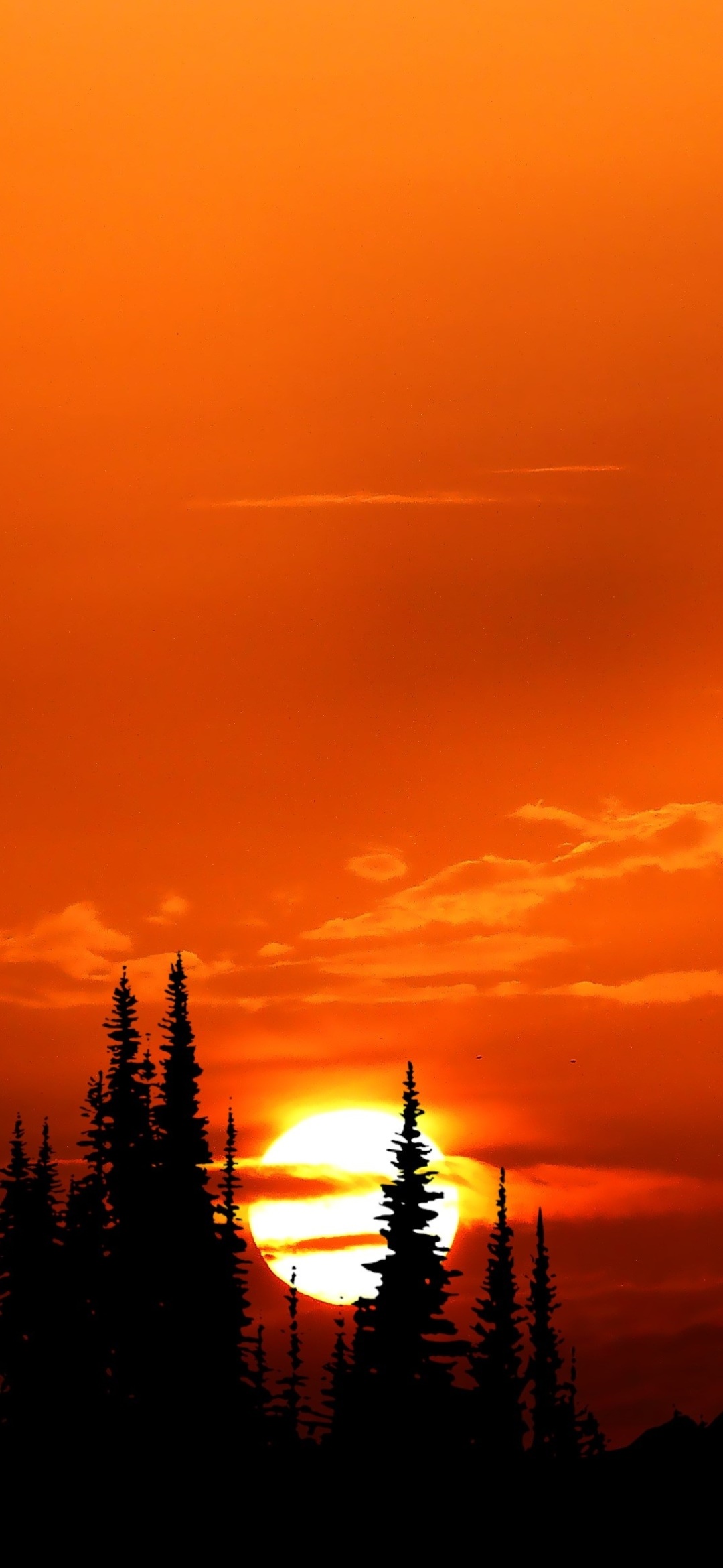 Earth Sunset, Silhouette, 1080x2340, Phone HD Wallpaper