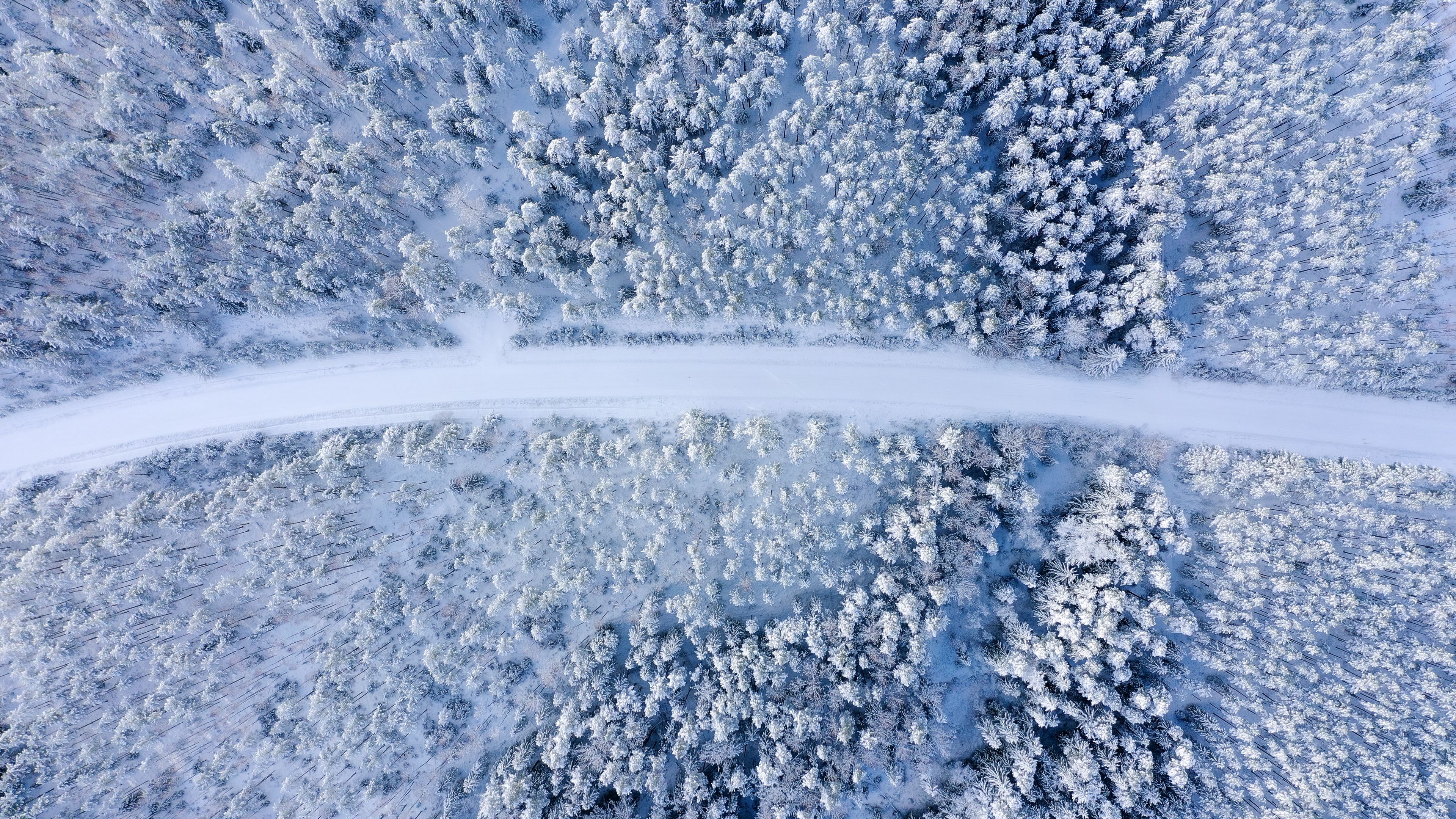 road, forest, aerial view, snow, winter, 4k, HD Wallpaper
