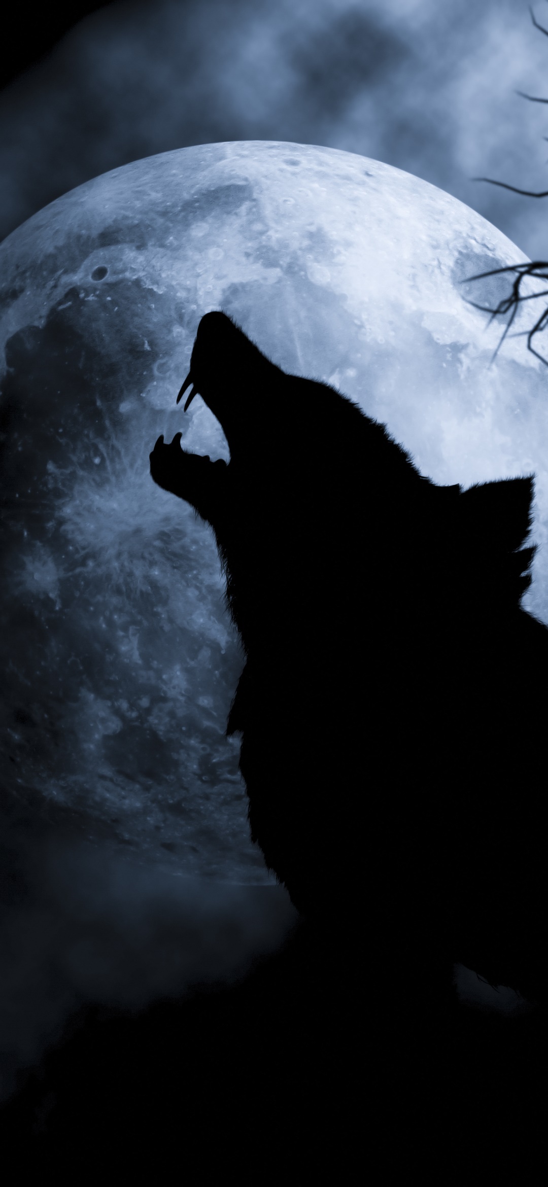 Fantasy Wolf, 1080x2340, Phone HD Wallpaper