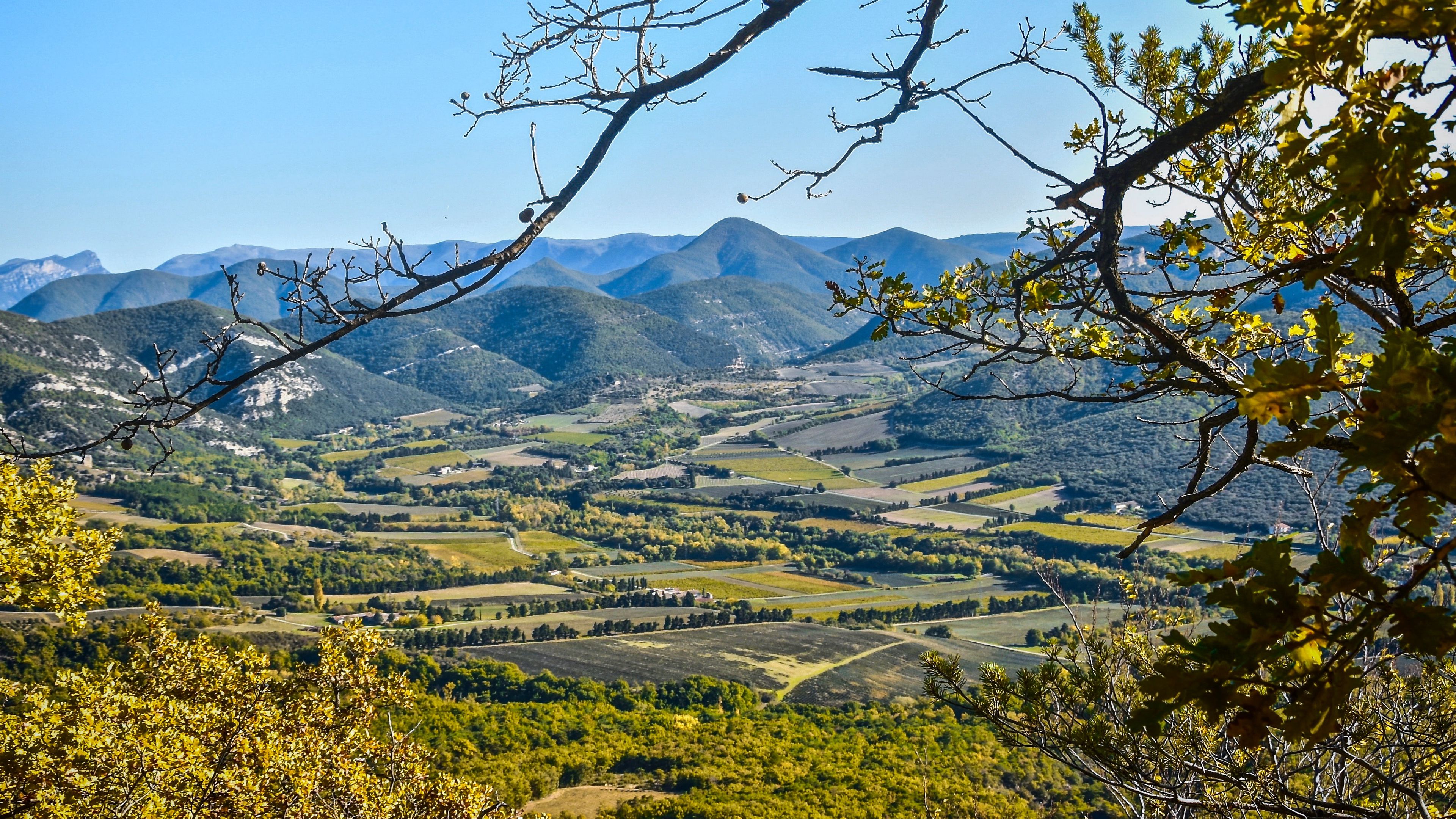 landscape, peaks, branch, hills, 4k, HD Wallpaper