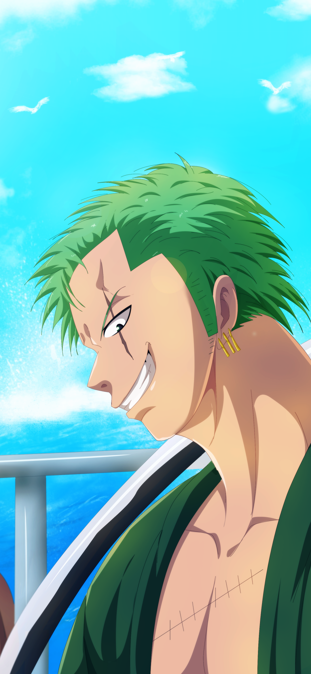 Anime One Piece, Roronoa Zoro, 1080x2340, Phone HD Wallpaper
