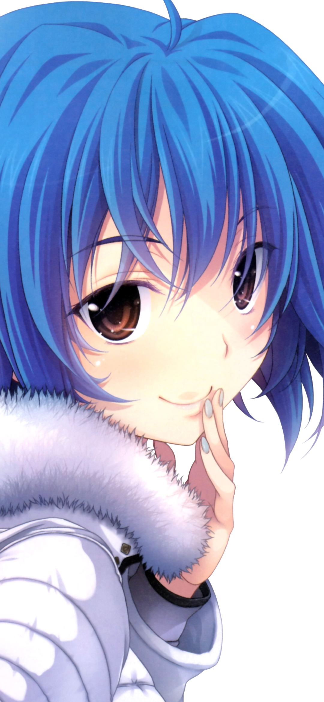Anime High School DxD, Short Hair, Face, Xenovia Quarta, Blue Hair, 1080x2340, Phone HD Wallpaper