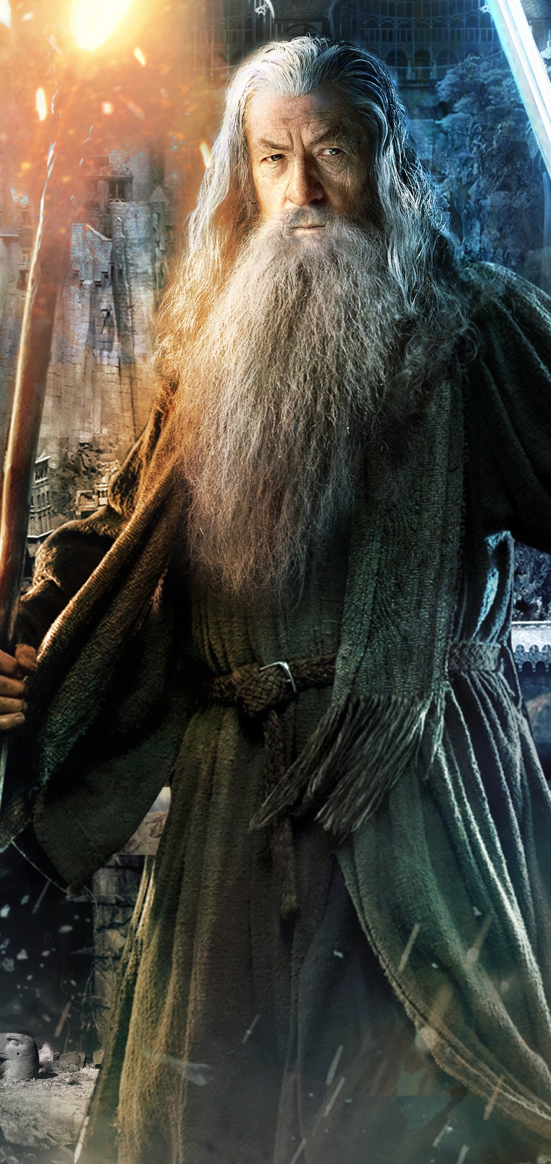 Movie The Lord Of The Rings, Gandalf, 1080x2280, Phone HD Wallpaper