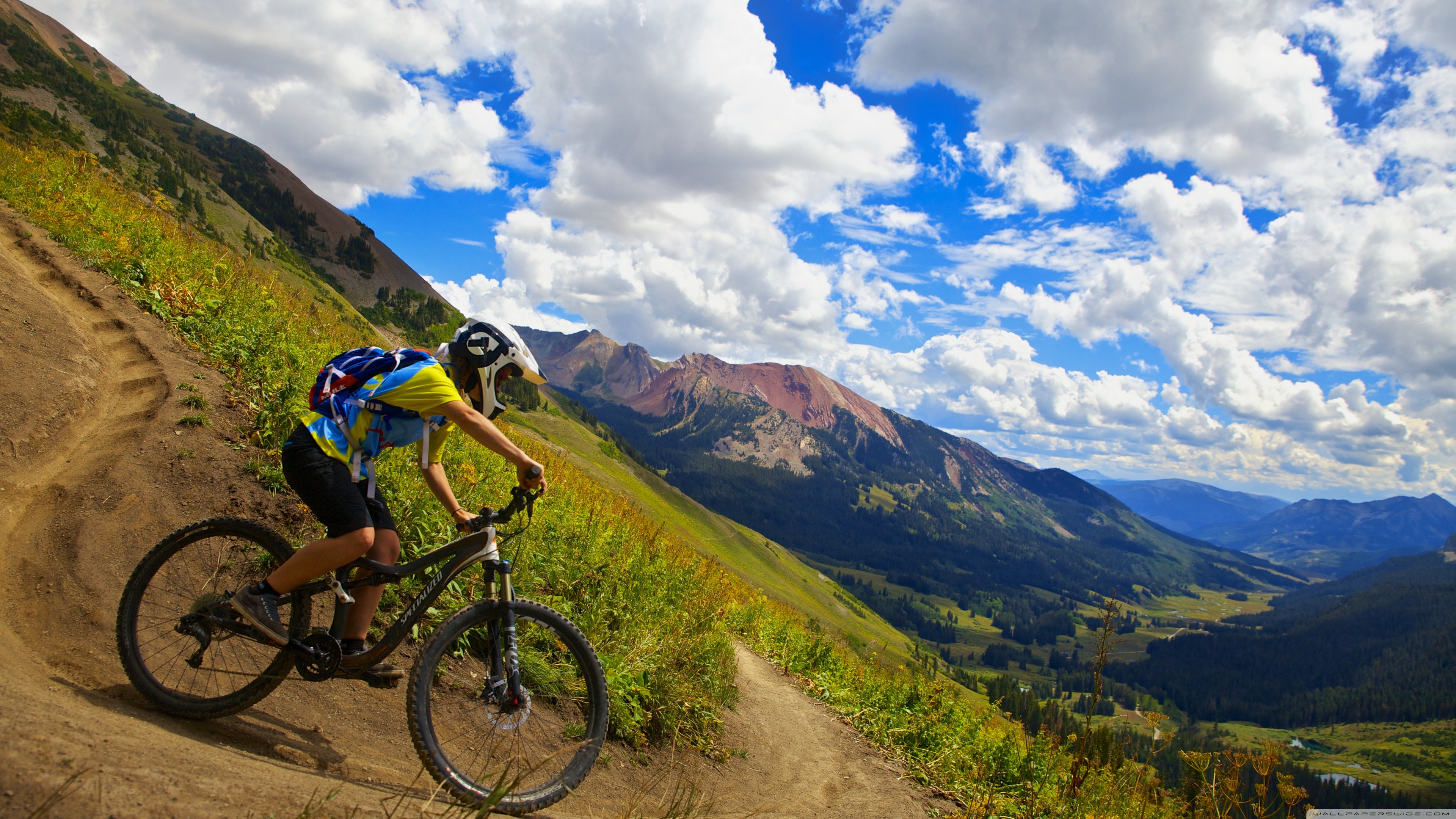 Bicycle, man, 4K, HD Wallpaper