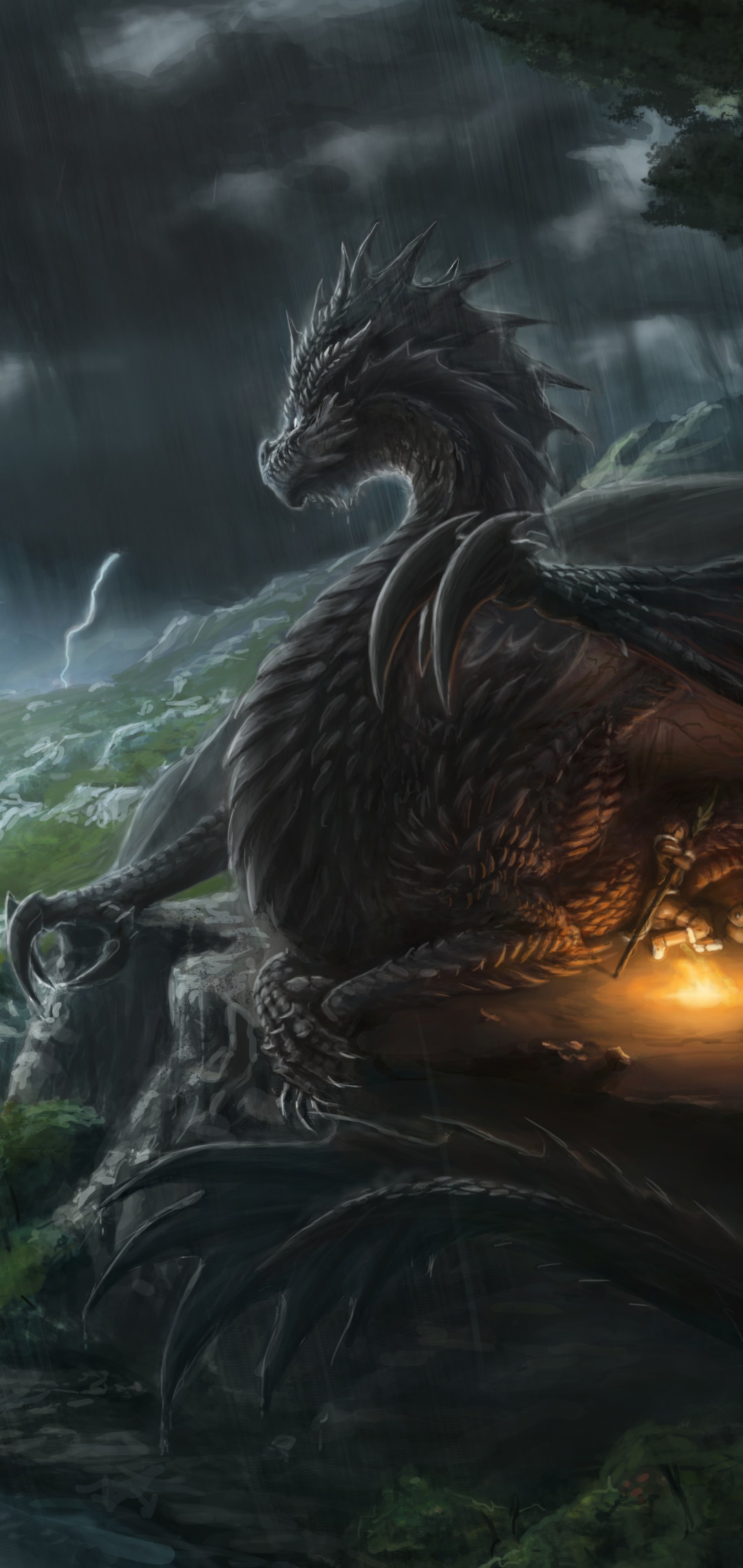 Fantasy Dragon, 1080x2280, Phone HD Wallpaper