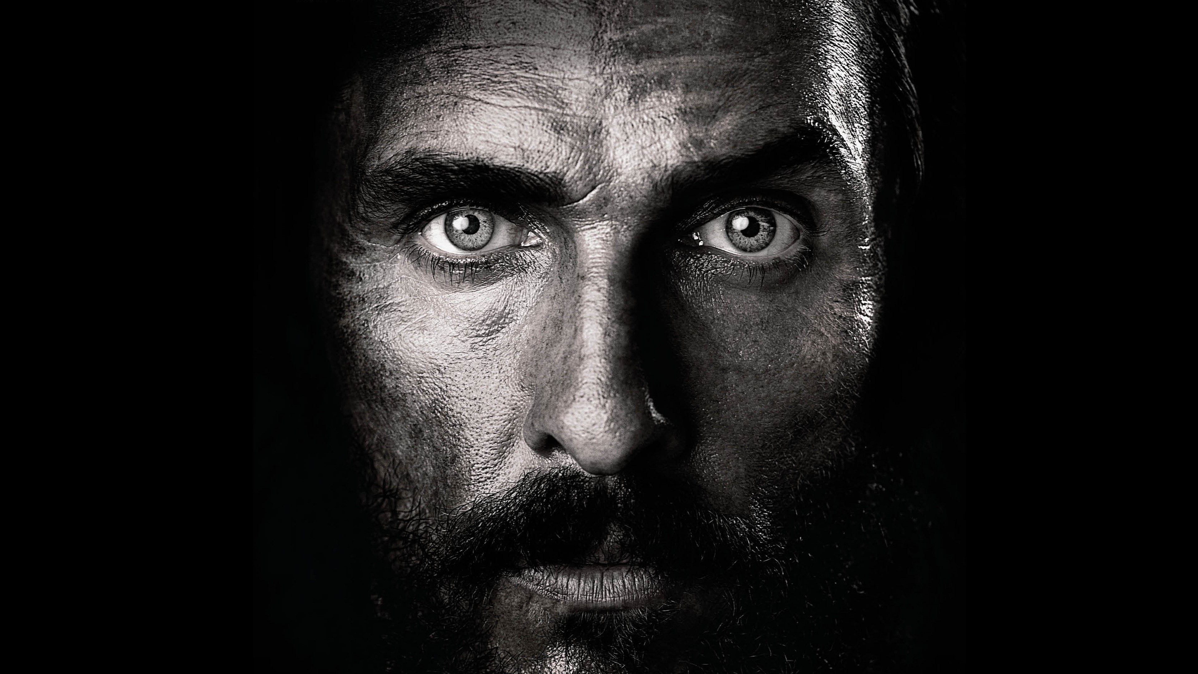 The Free State of Jones, Best movies, Matthew McConaughey, HD Wallpaper
