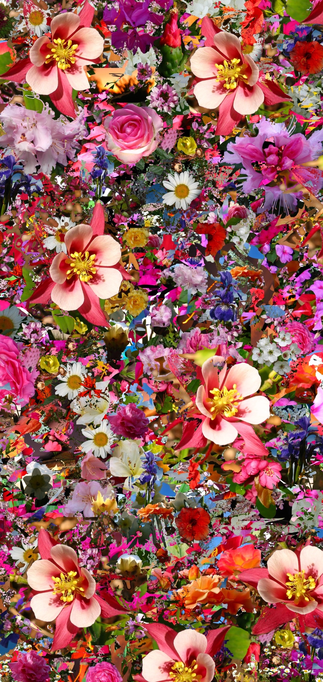 Artistic Flower, Colorful, Colors, 1080x2280, Phone HD Wallpaper
