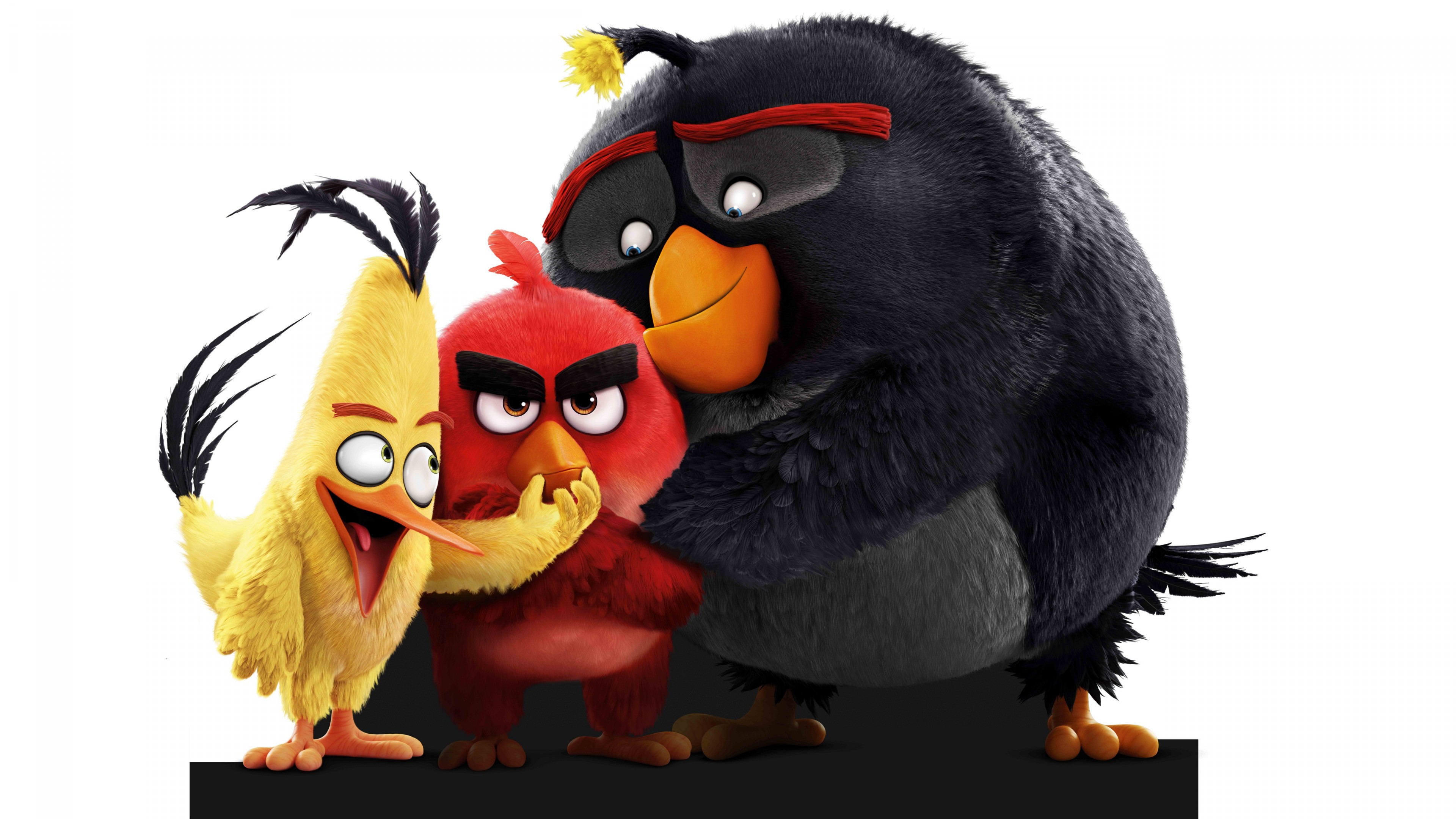 Angry Birds Movie, chuck, red, bomb, Best Animation Movies of 2016, HD Wallpaper