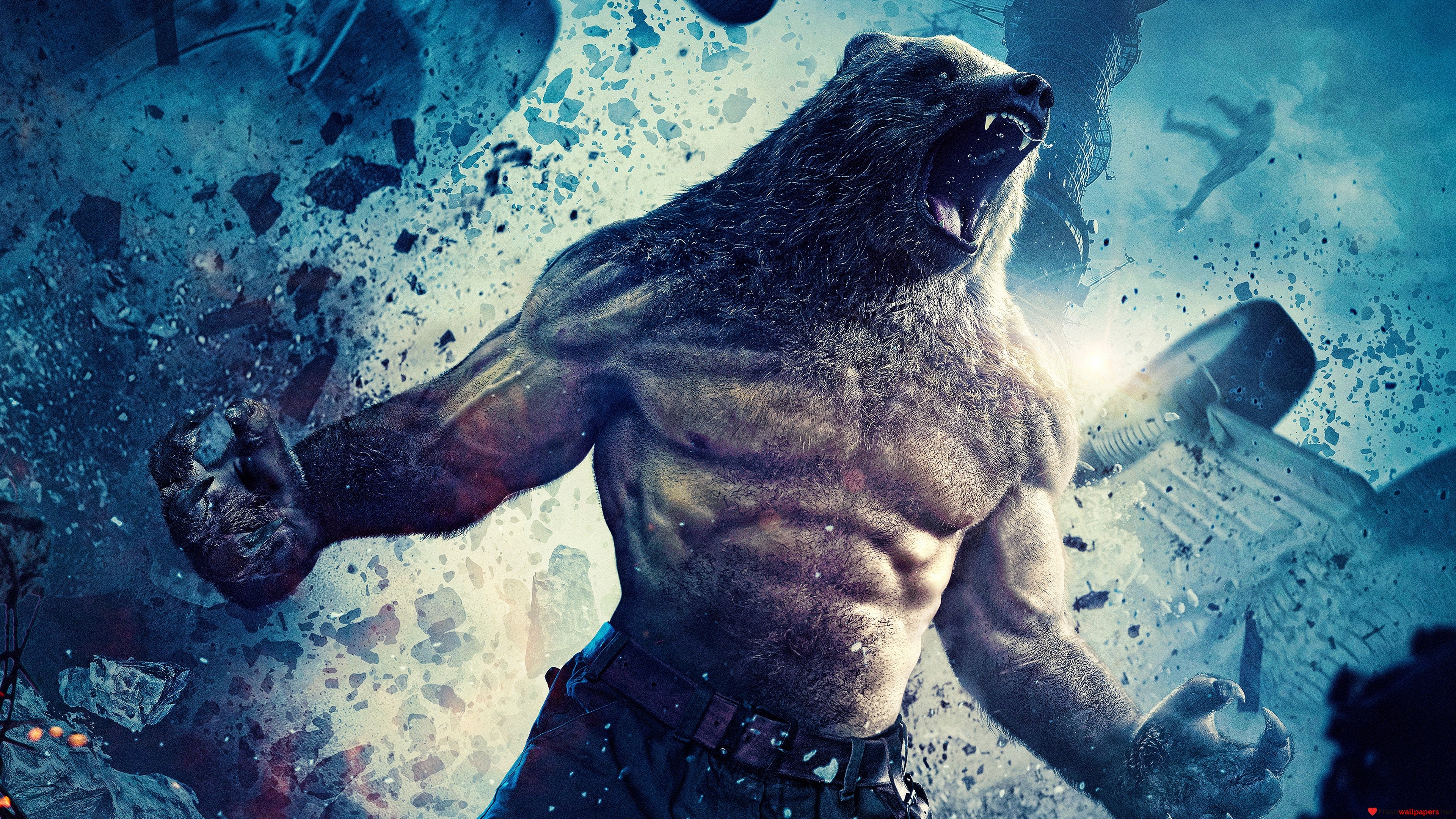 The Guardians, bear, superhero, best movies, HD Wallpaper
