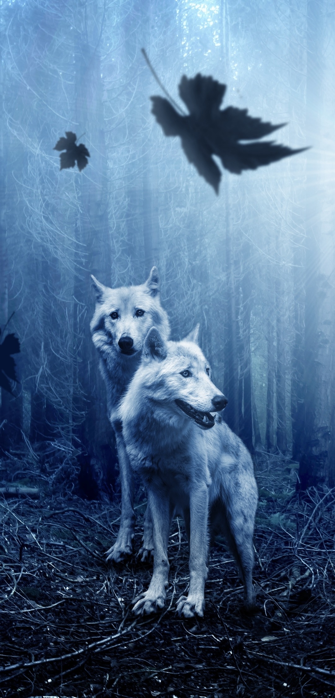 Animal Wolf, 1080x2246, Phone HD Wallpaper