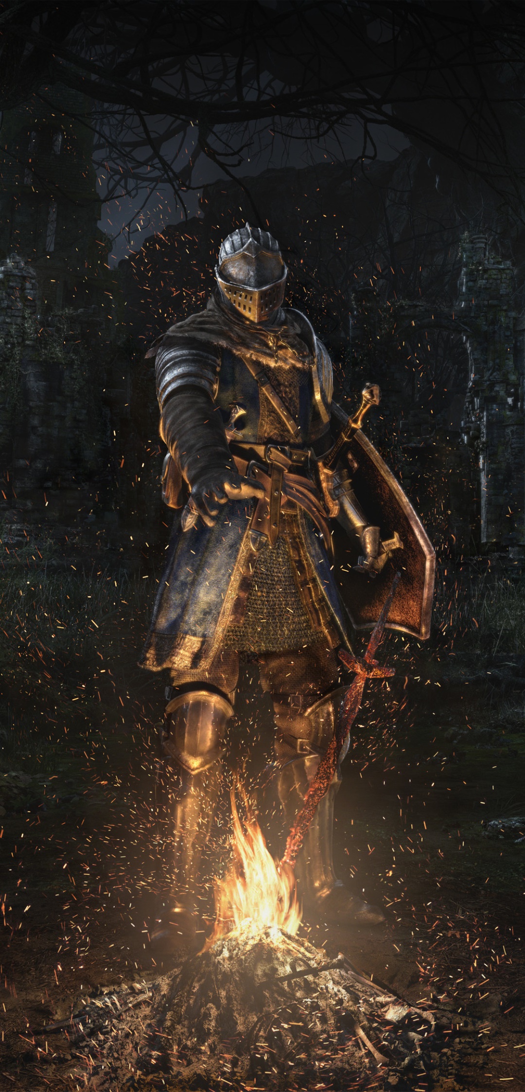Video Game Dark Souls, 1080x2246, Phone HD Wallpaper