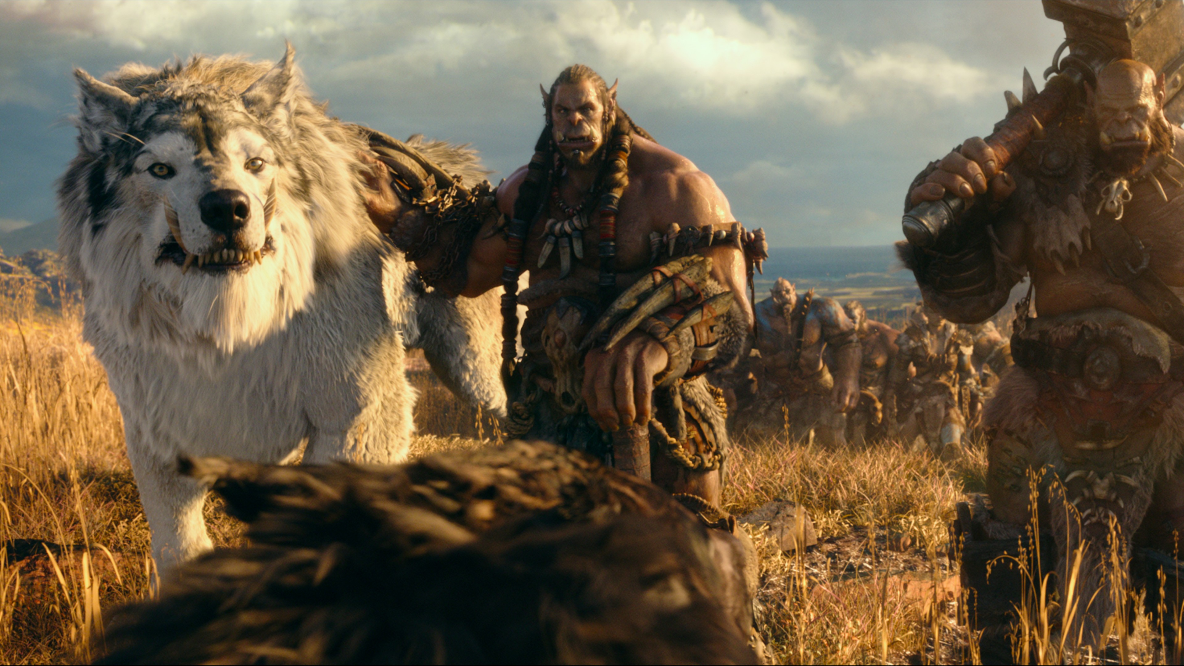 Warcraft, ork, wolf, Best Movies of 2016, HD Wallpaper