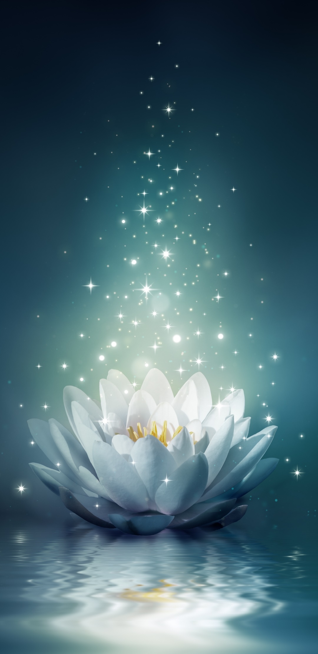 Artistic Flower, Light, Water Lily, Water, 1080x2220, Phone HD Wallpaper