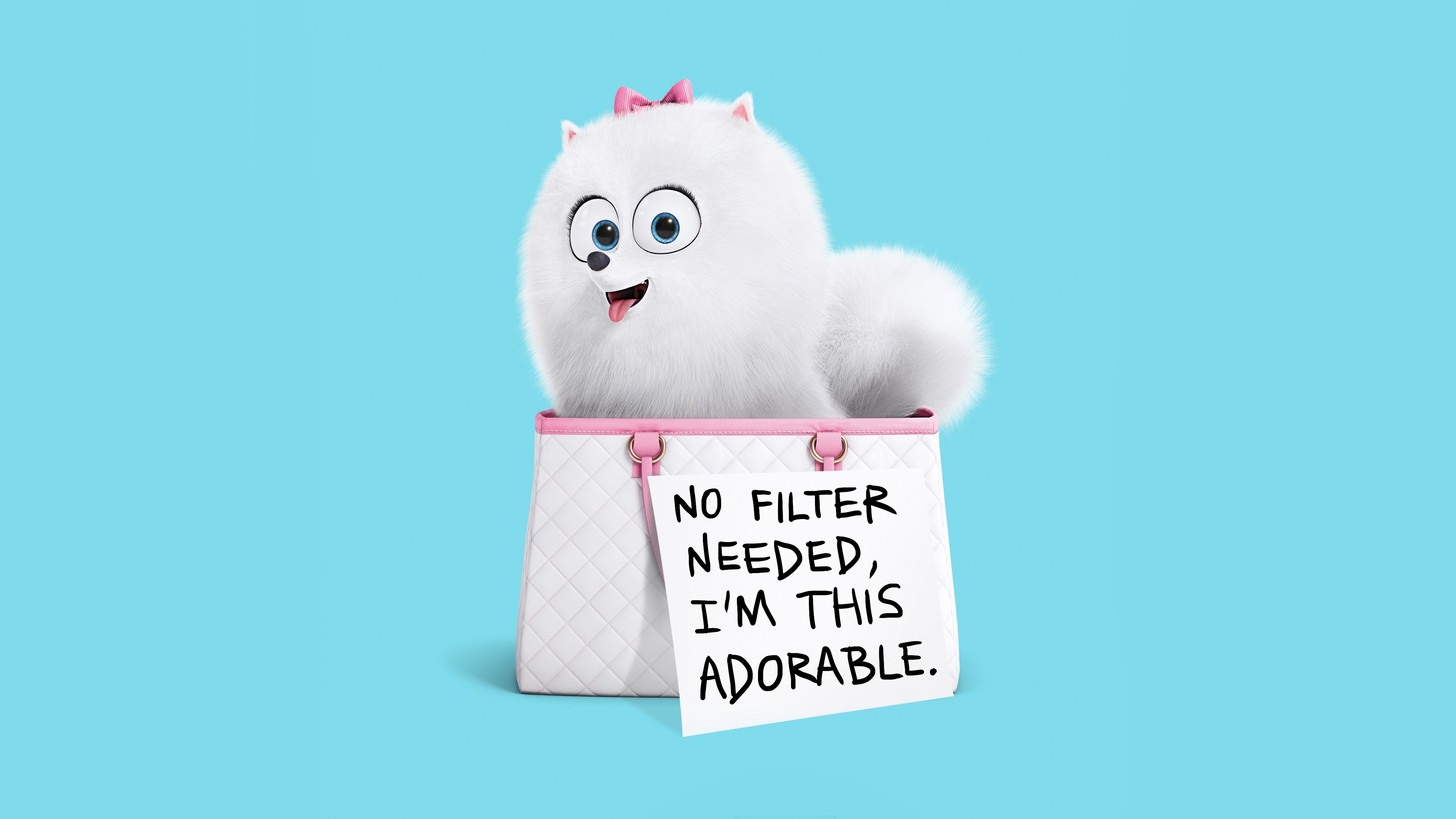 The Secret Life of Pets, gidget, Best Animation Movies of 2016, cartoon, HD Wallpaper