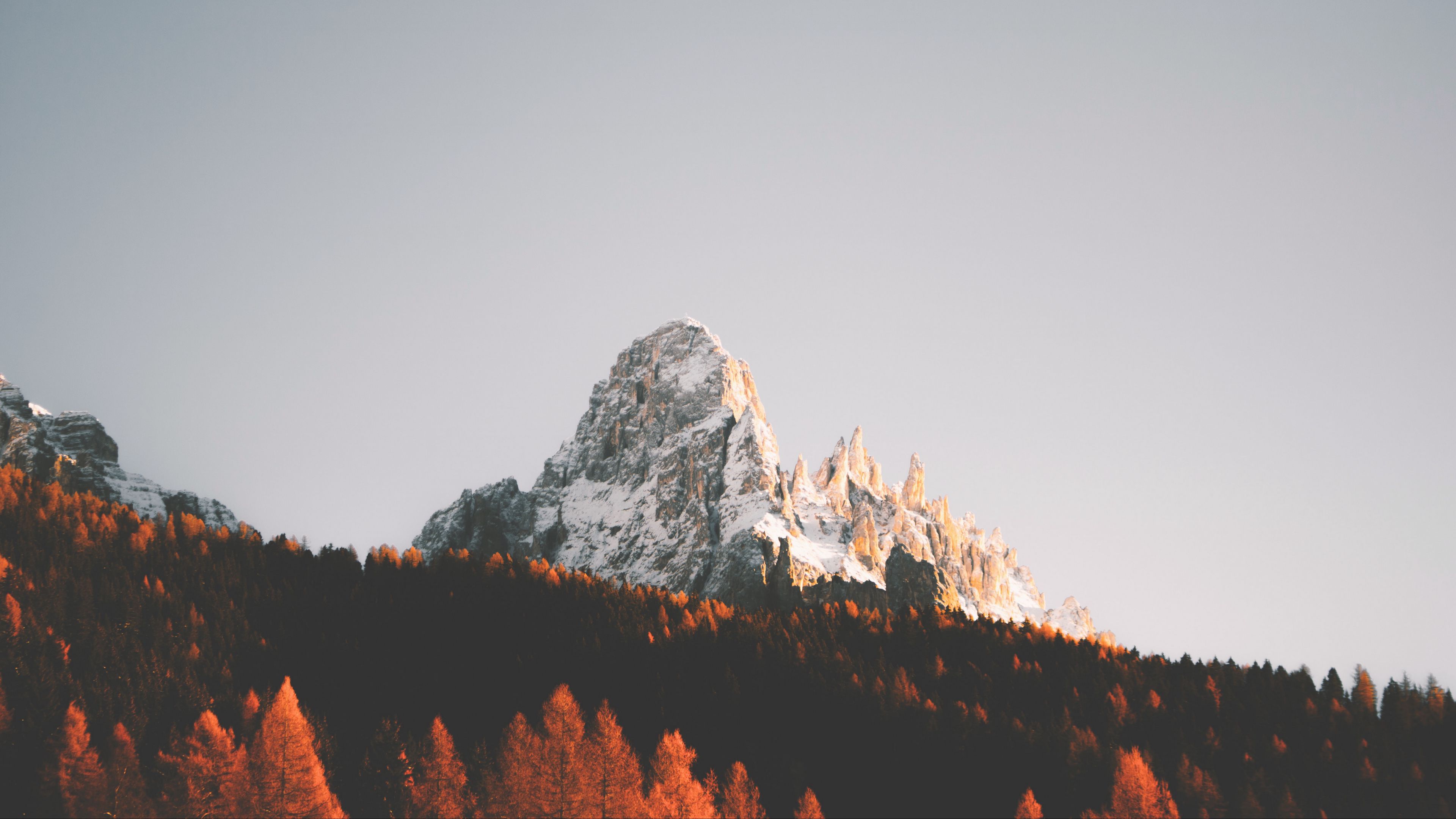 peak, rock, trees, forest, snow, 4k, HD Wallpaper
