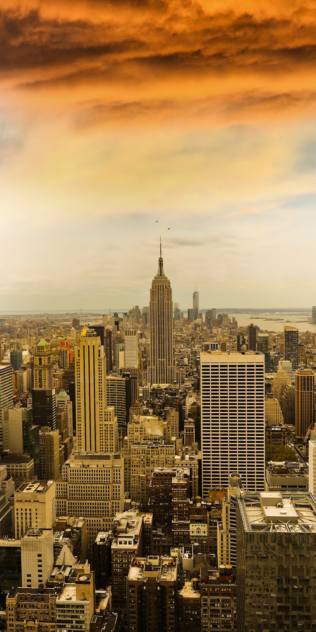 Man Made Manhattan, 1080x2160, Phone HD Wallpaper