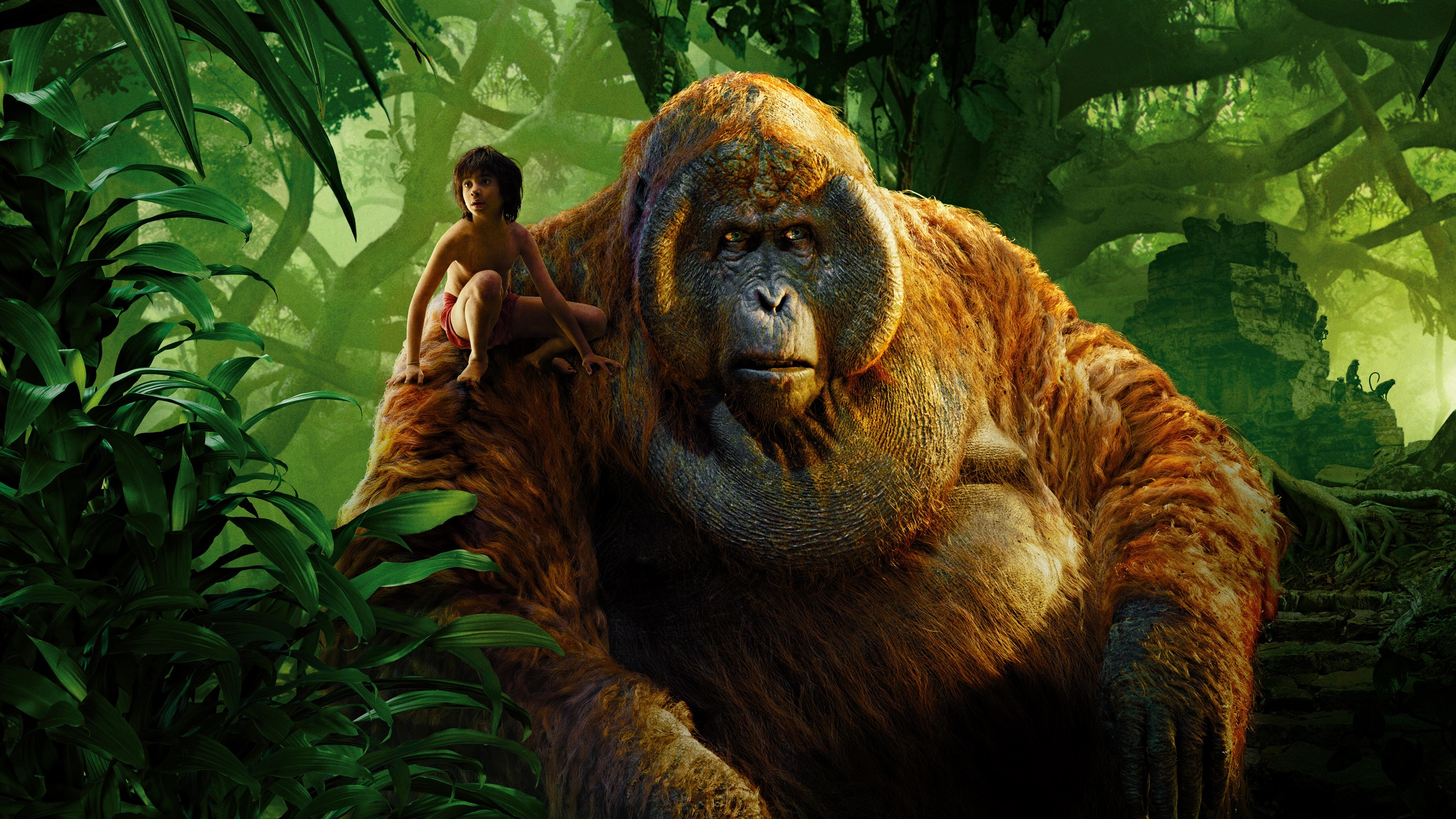 The Jungle Book, Monkey King, King Louie, adventure, fantasy, Best movies of 2016, HD Wallpaper