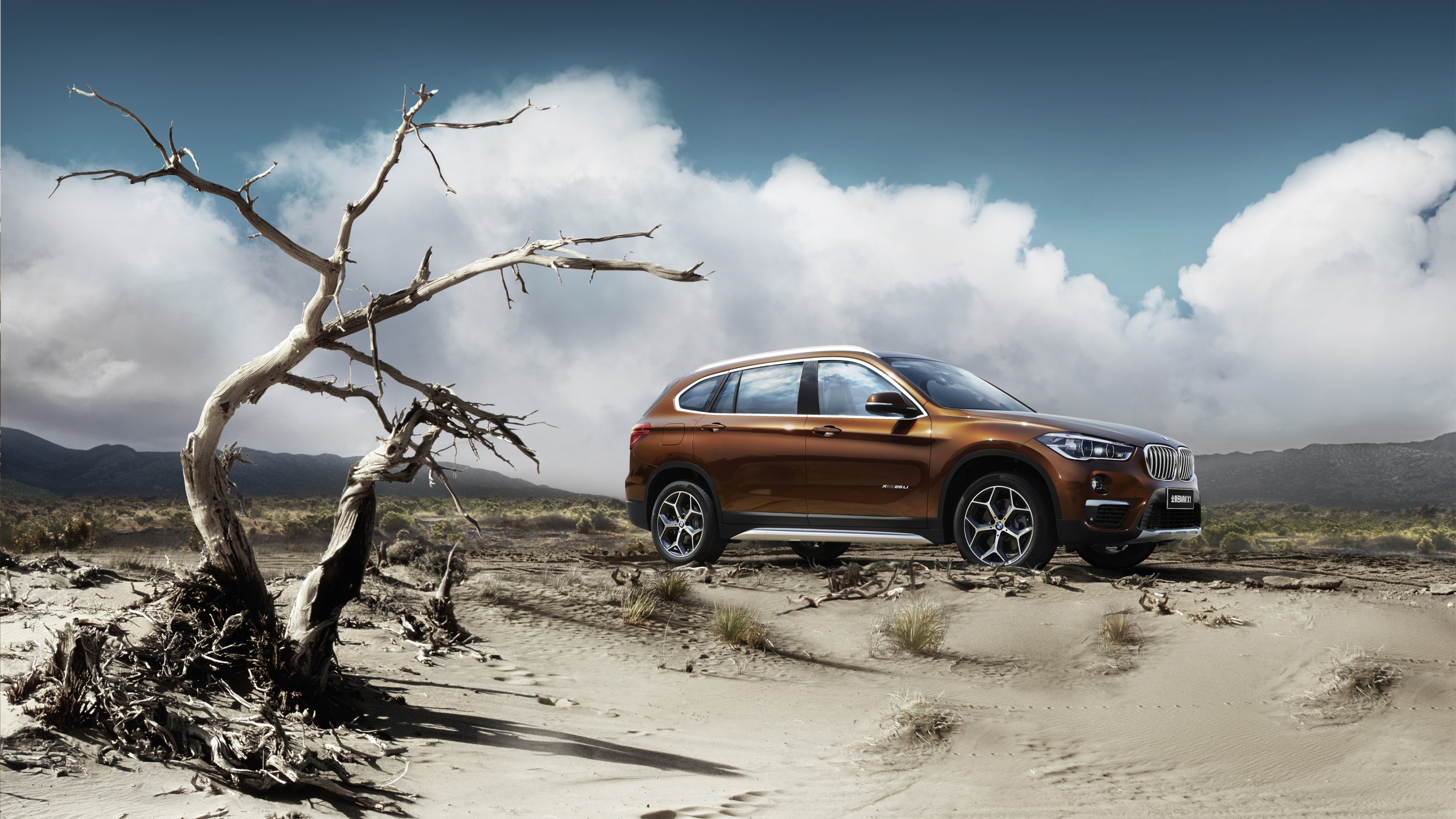 BMW X1 xDrive25, i xLine, Beijing Motor Show 2016, Auto China 2016, crossover, HD Wallpaper