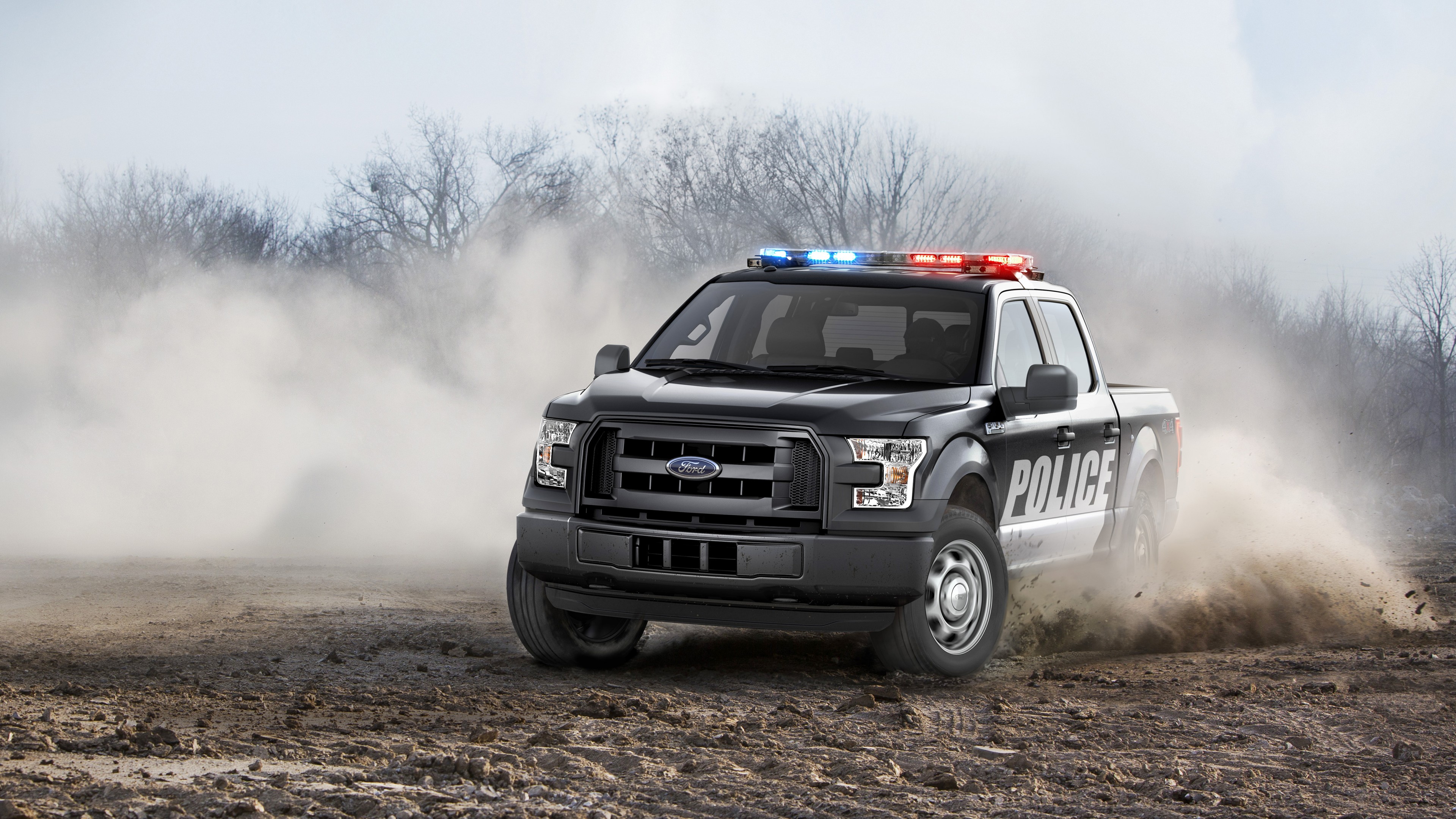Ford F150, Safety car, HD Wallpaper